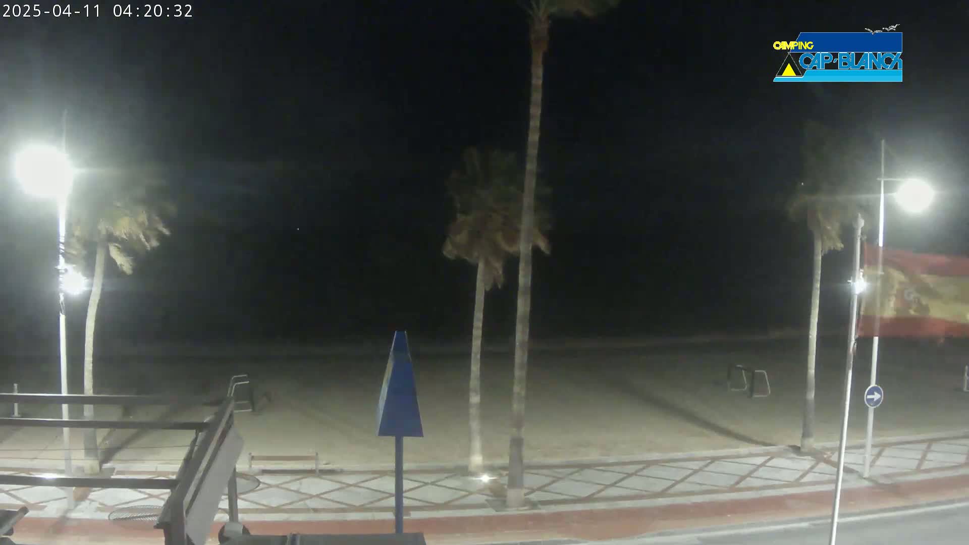 A nighttime beach scene shows palm trees swaying in the wind along a paved walkway next to a sandy beach.