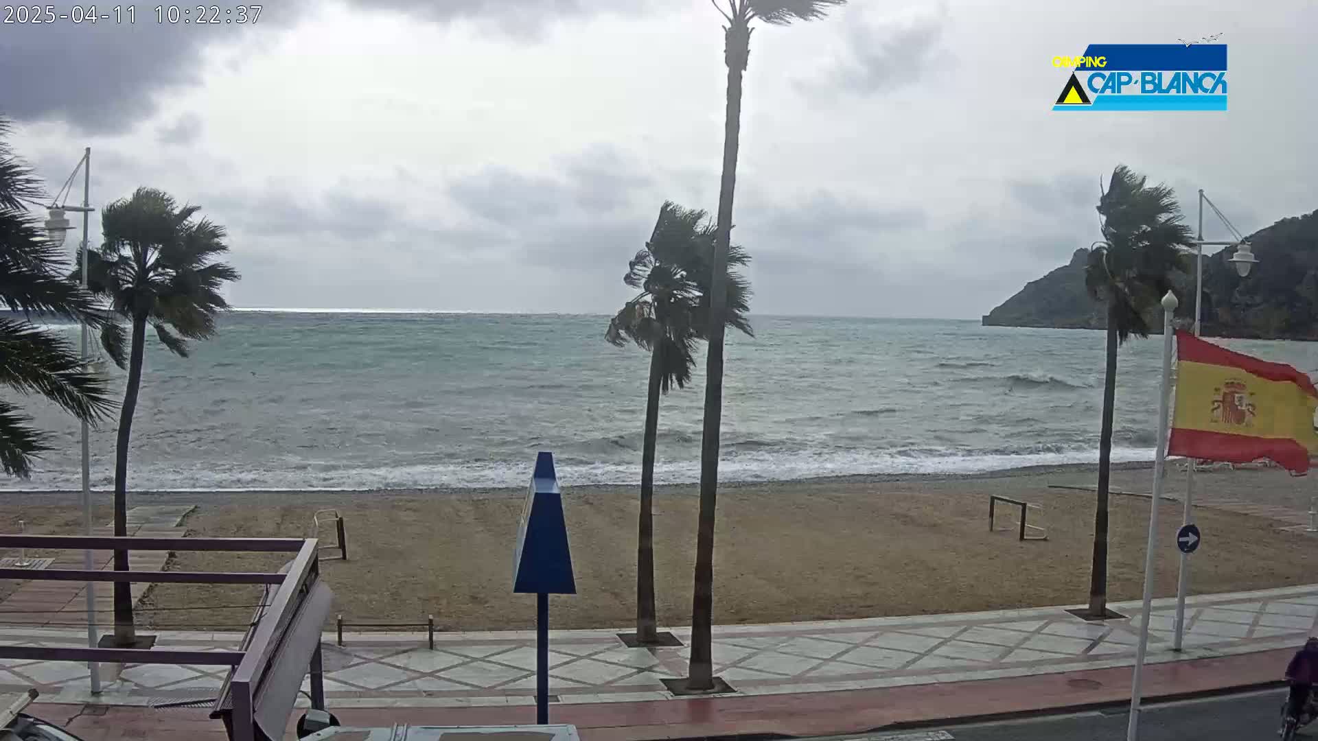 A windy, overcast day at a beach with palm trees blowing in the wind, a sandy beach, and a calm sea with small waves.