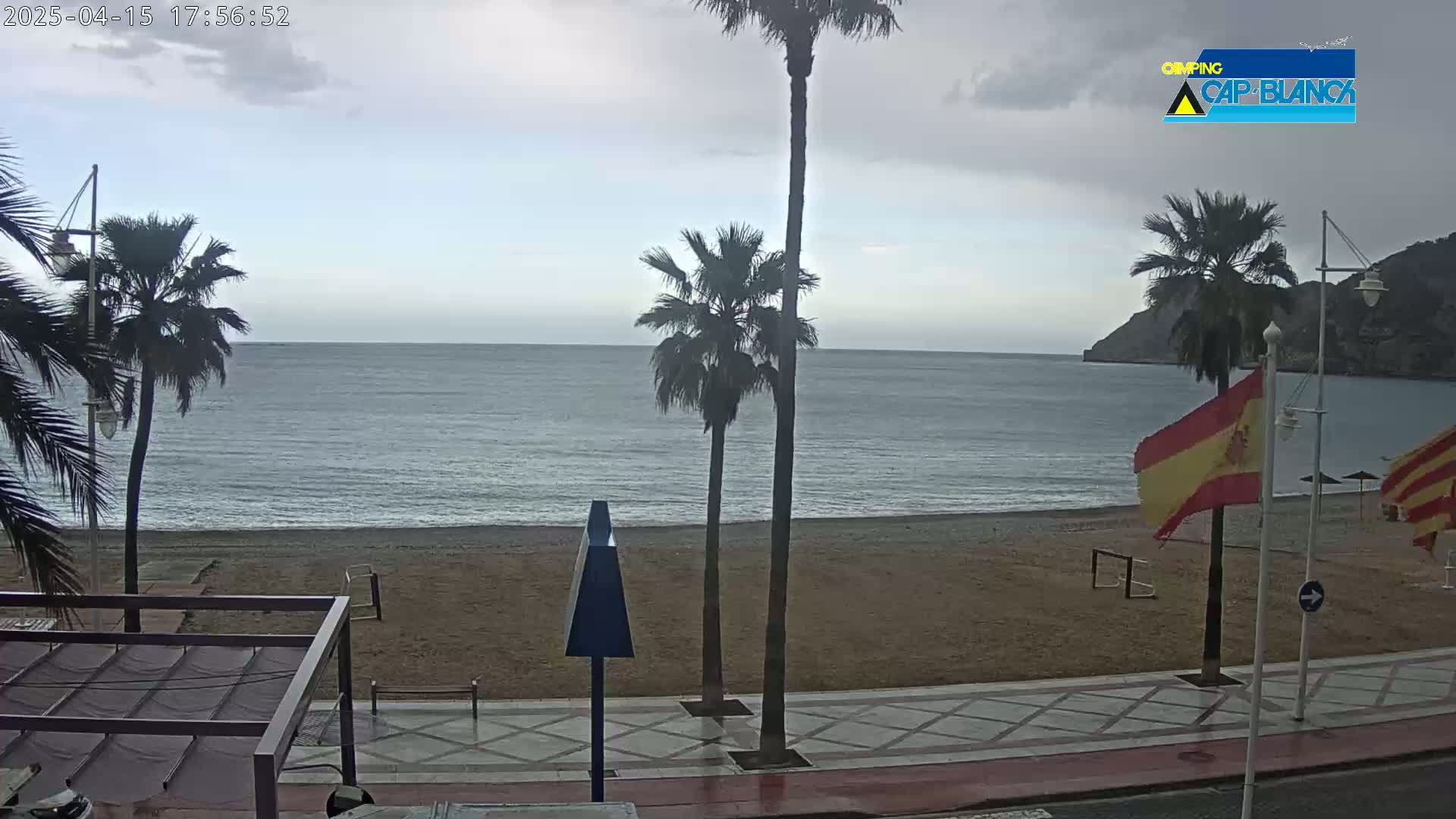 A sandy beach with palm trees lines a paved walkway beside a calm sea under an overcast sky.