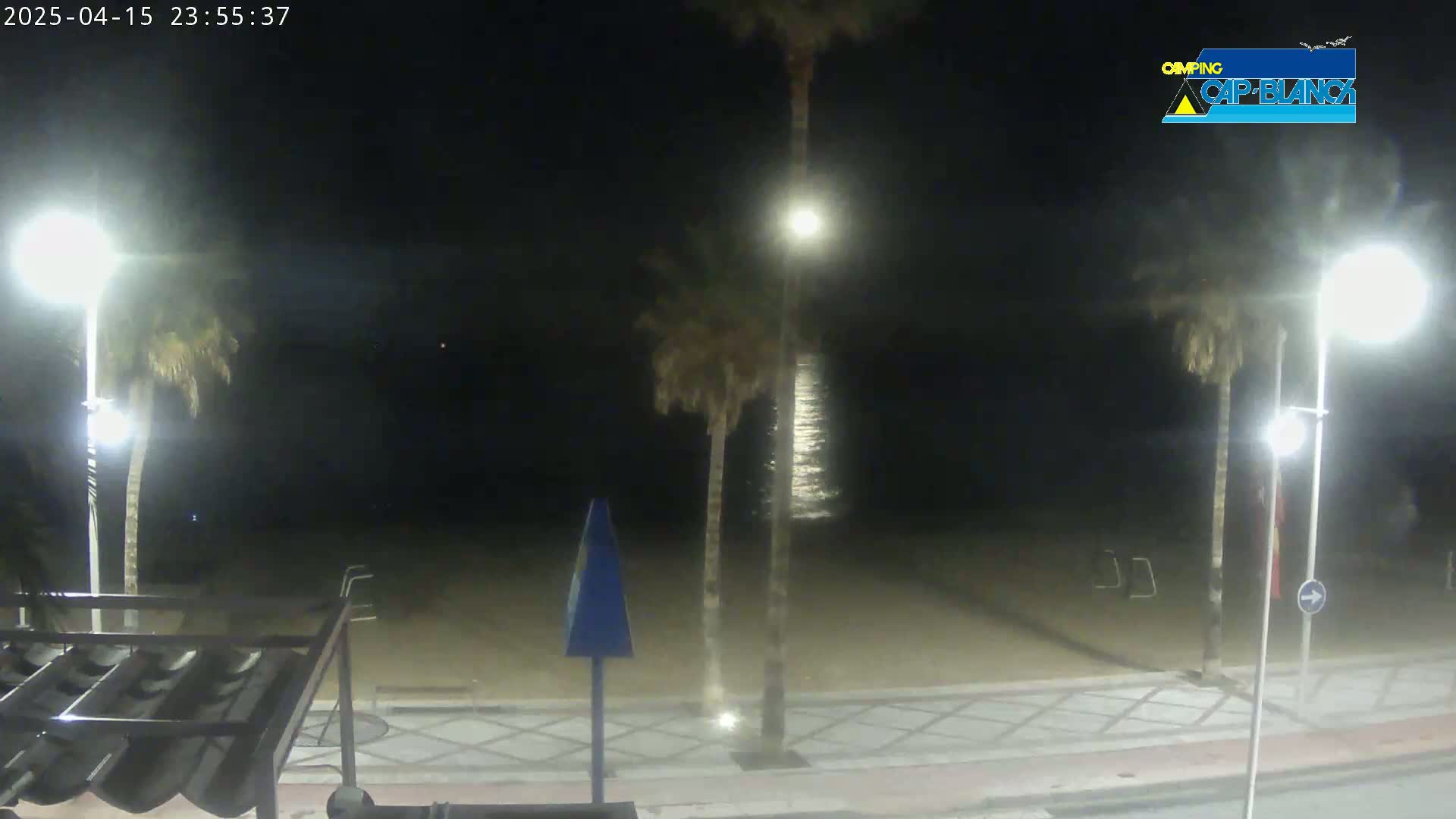 A nighttime view of a beach from a street, showing palm trees, streetlights, and a calm, reflective ocean under a dark sky.