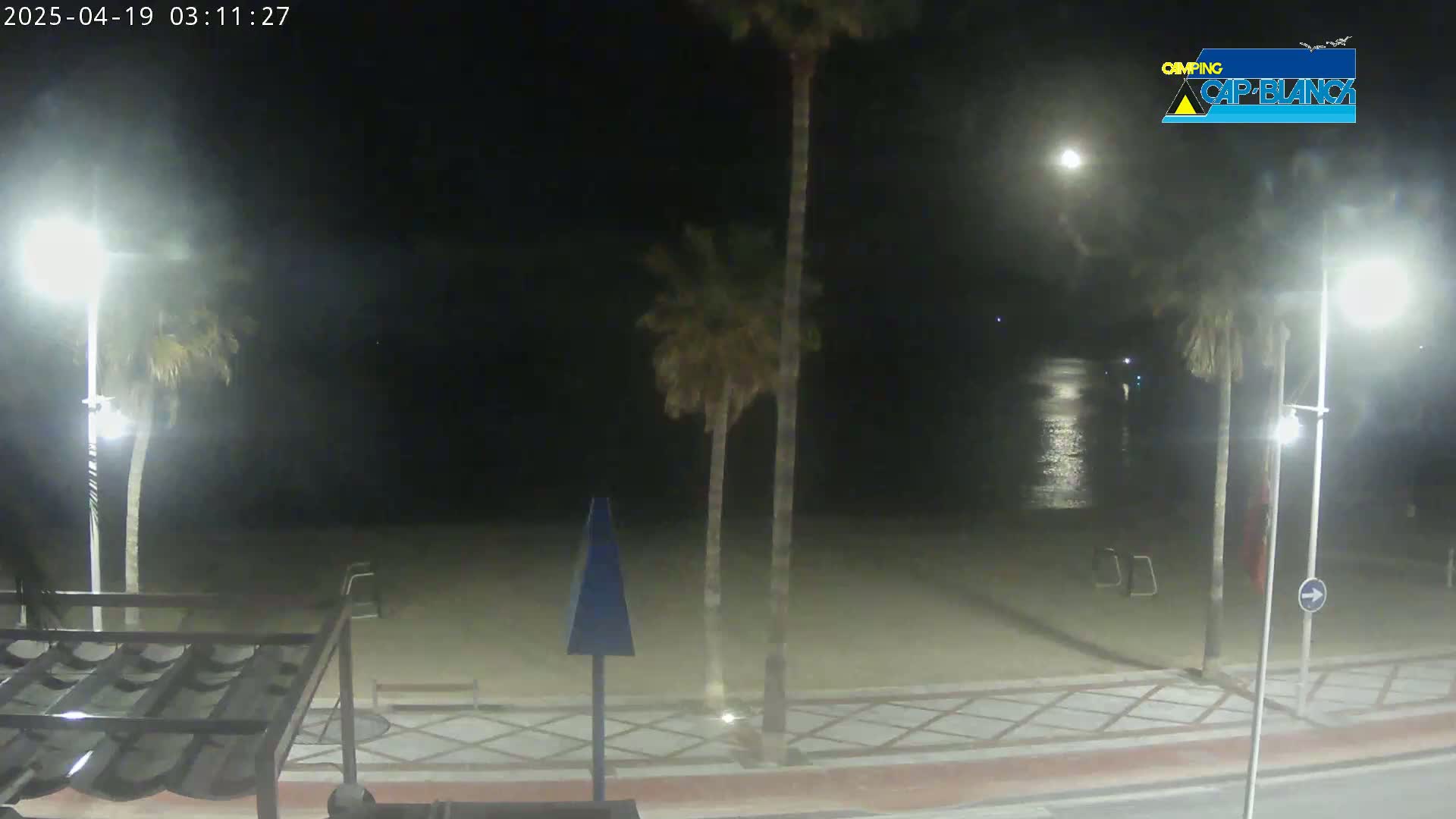 A nighttime view of a sandy beach with palm trees, streetlights, and a calm ocean under a mostly clear sky.