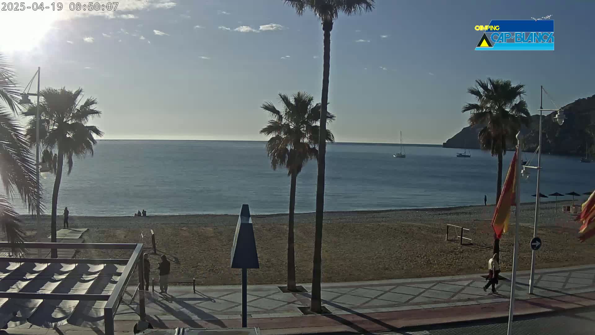 A sandy beach with palm trees and a calm ocean under a partly cloudy sky is viewed from a promenade.