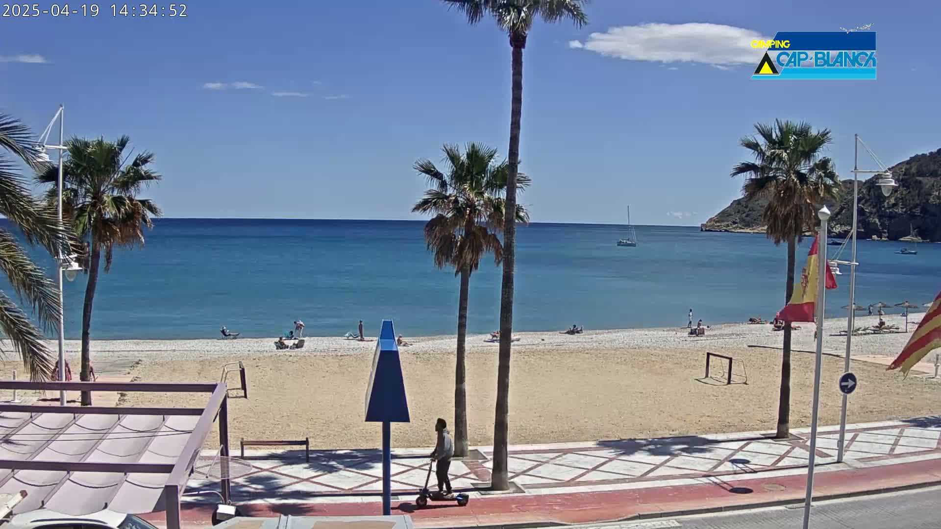 A sandy beach with palm trees, a few people, and a person on a scooter is next to a calm, blue ocean under a clear, sunny sky.