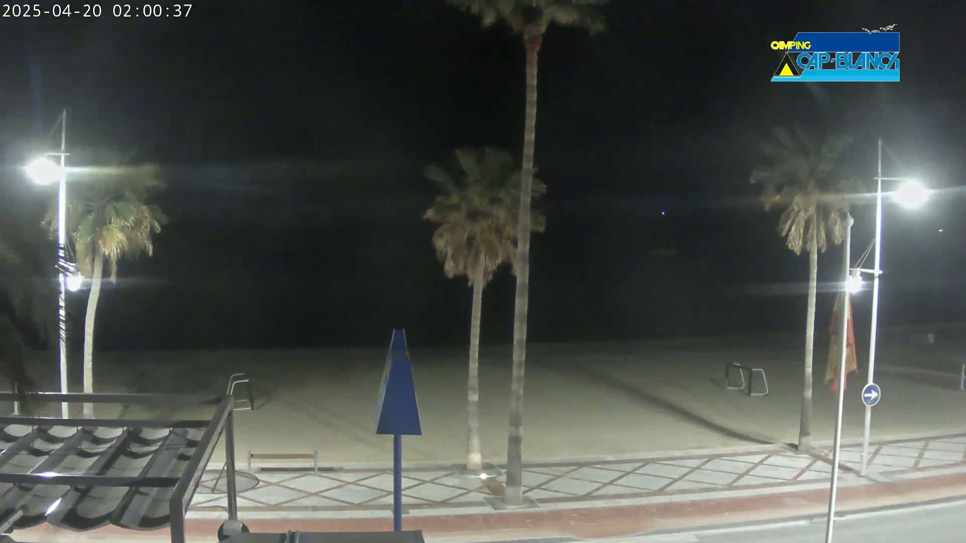 A nighttime view of a sandy beach, palm trees, and streetlights along a paved walkway.