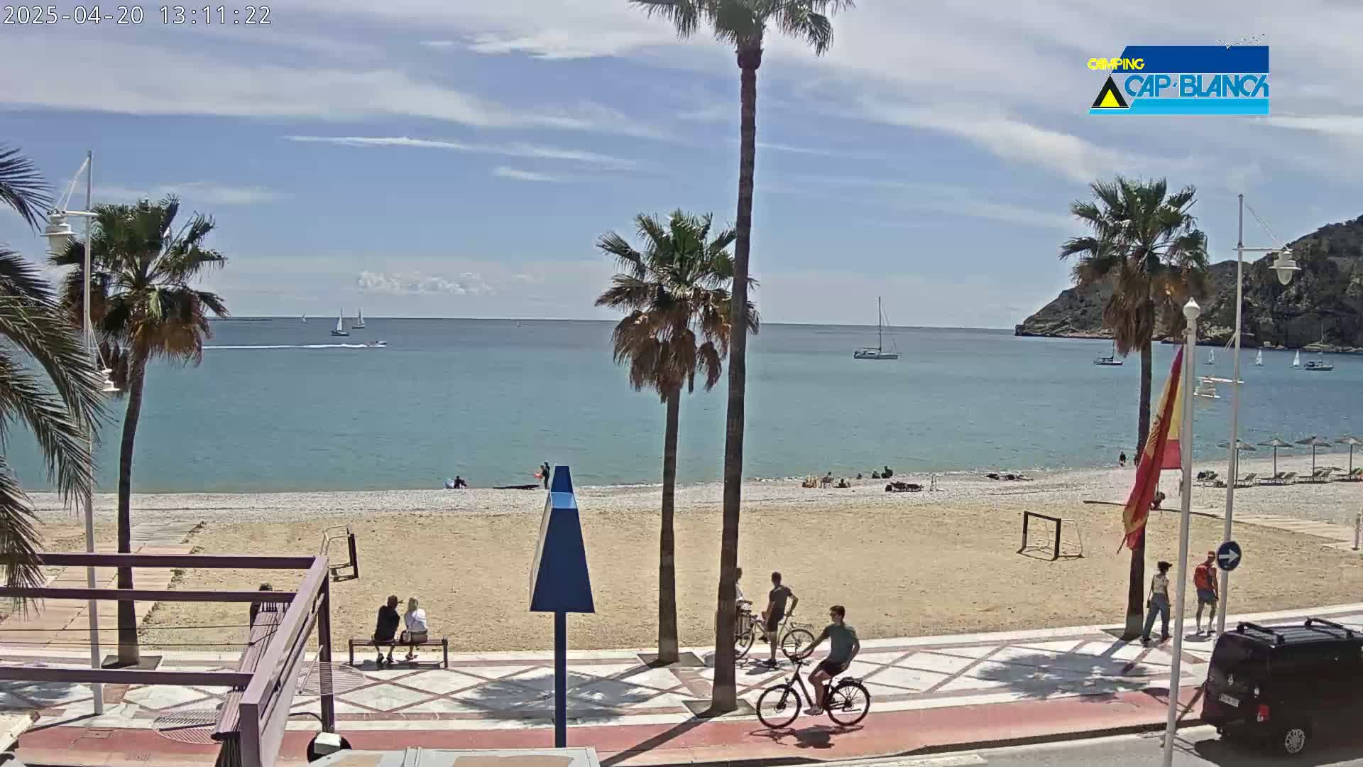 A sandy beach with palm trees and people enjoying a sunny day, with sailboats visible on a calm ocean.
