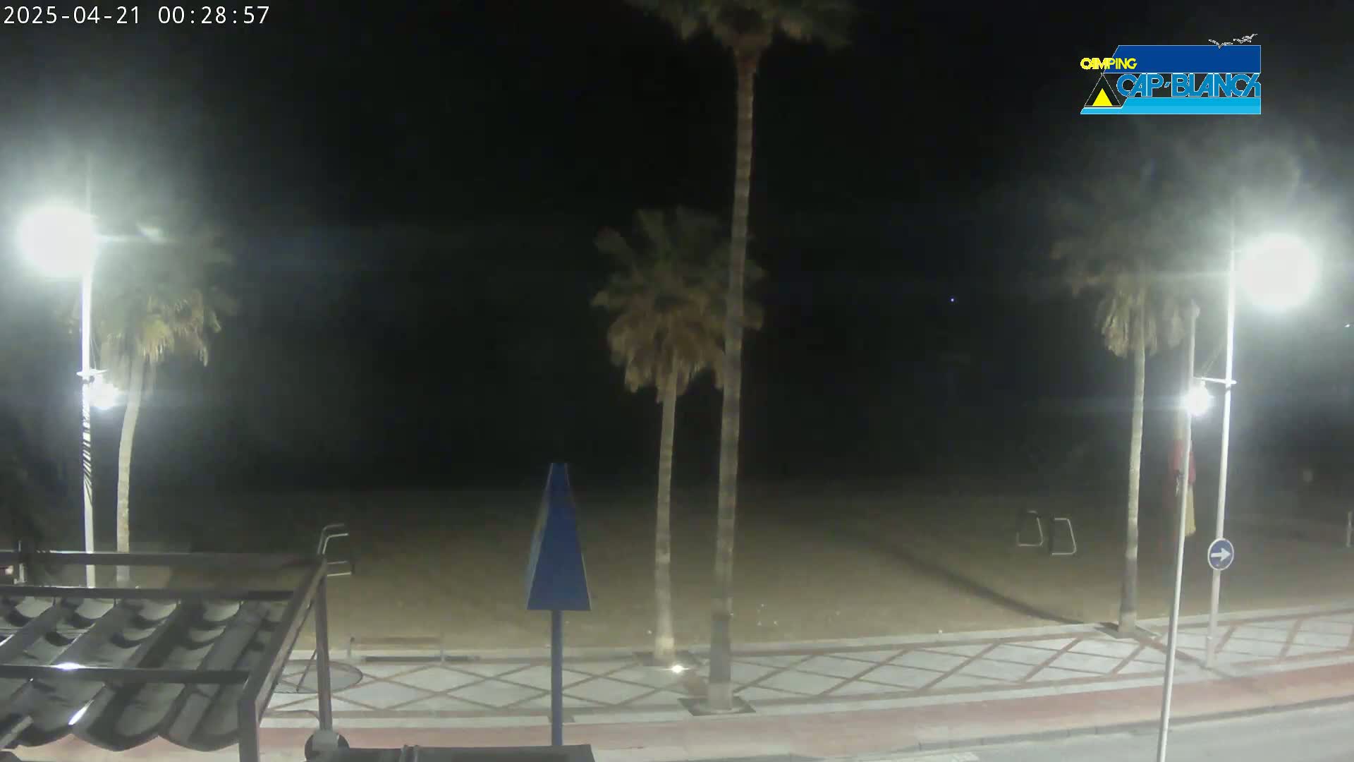 At night, a sandy beach is illuminated by streetlights, with palm trees lining a paved walkway.