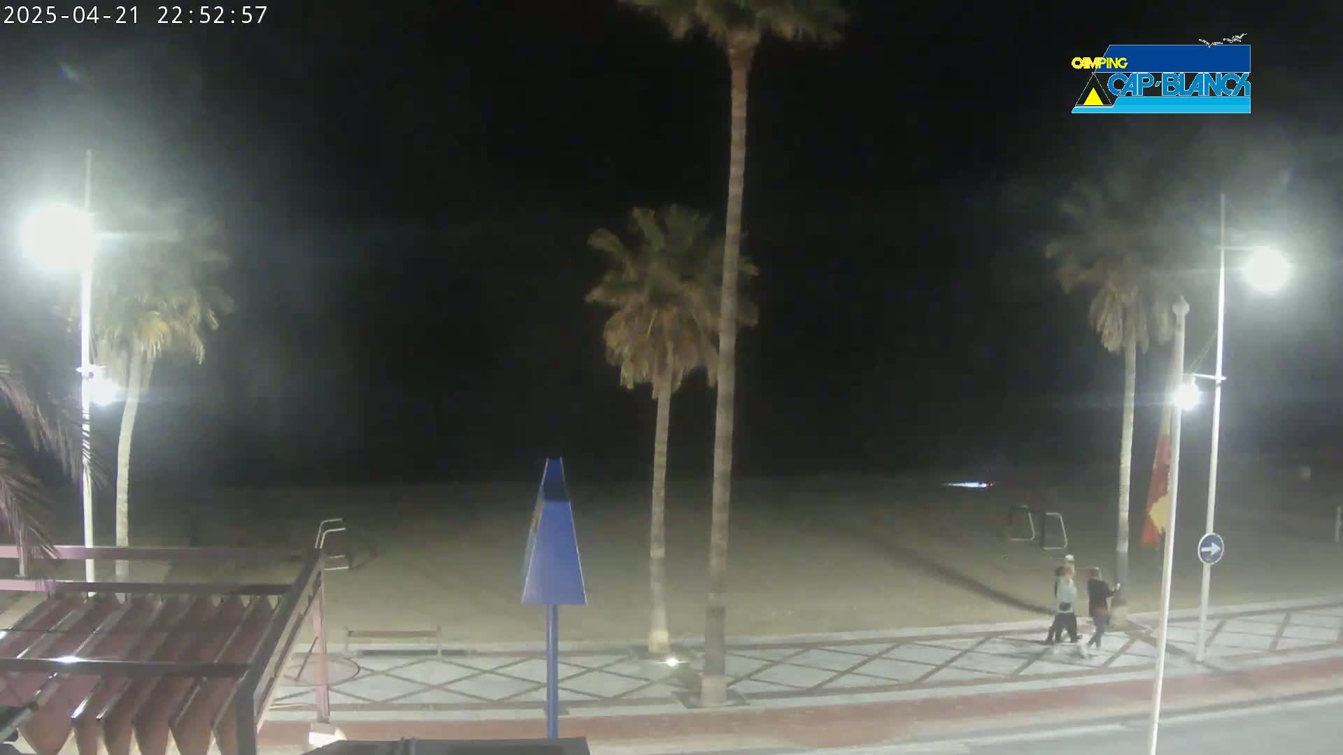 A nighttime view of a sandy beach with palm trees and streetlights, and a few people walking along a tiled pathway.