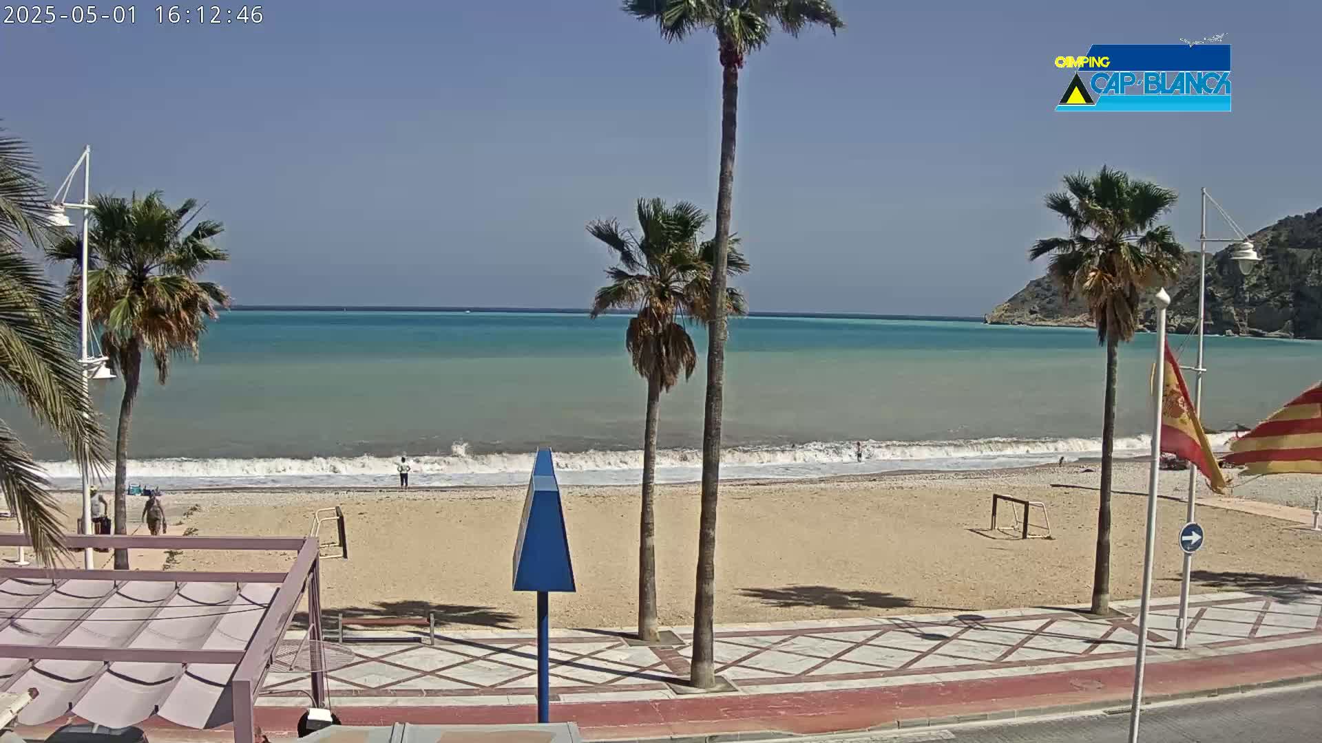 A sandy beach with calm waves and several palm trees is visible under a clear blue sky.