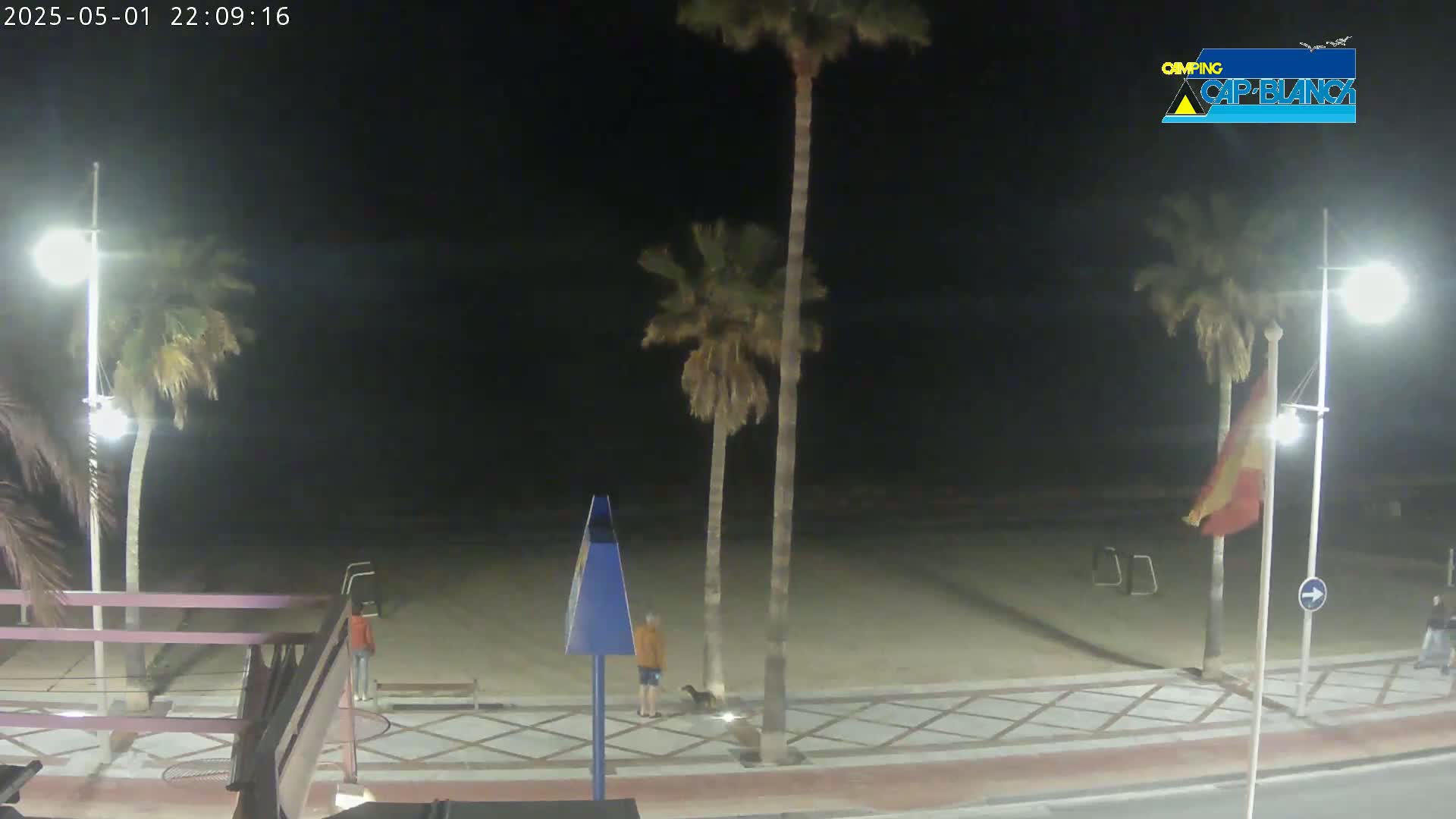 A nighttime view of a mostly empty beach with palm trees, streetlights, and a few people walking along a paved walkway.