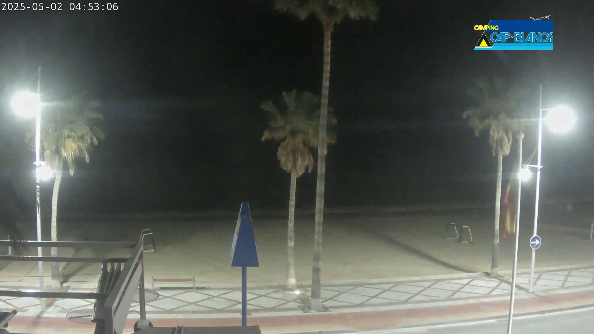 A nighttime view of a sandy beach, palm trees, and streetlights along a paved walkway.