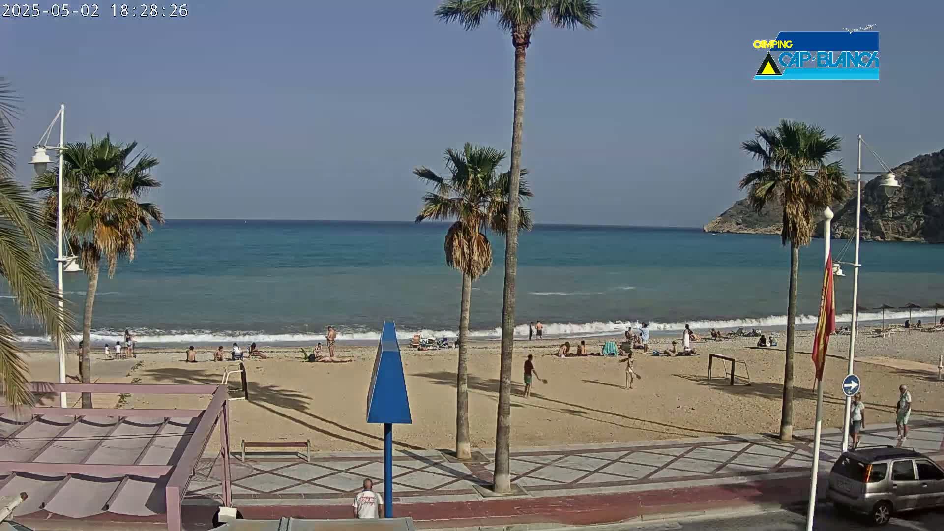 A sandy beach with palm trees and several people on it is next to a calm, blue ocean under a clear sky.