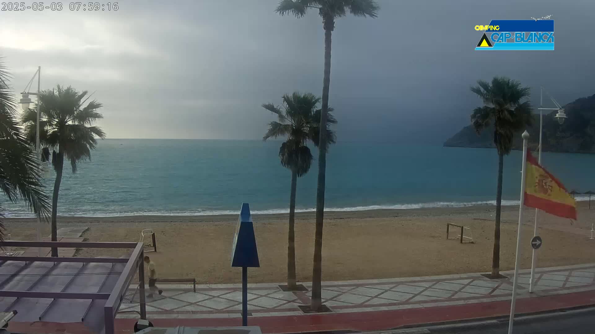 A sandy beach with palm trees and a calm, blue-green ocean under an overcast sky.