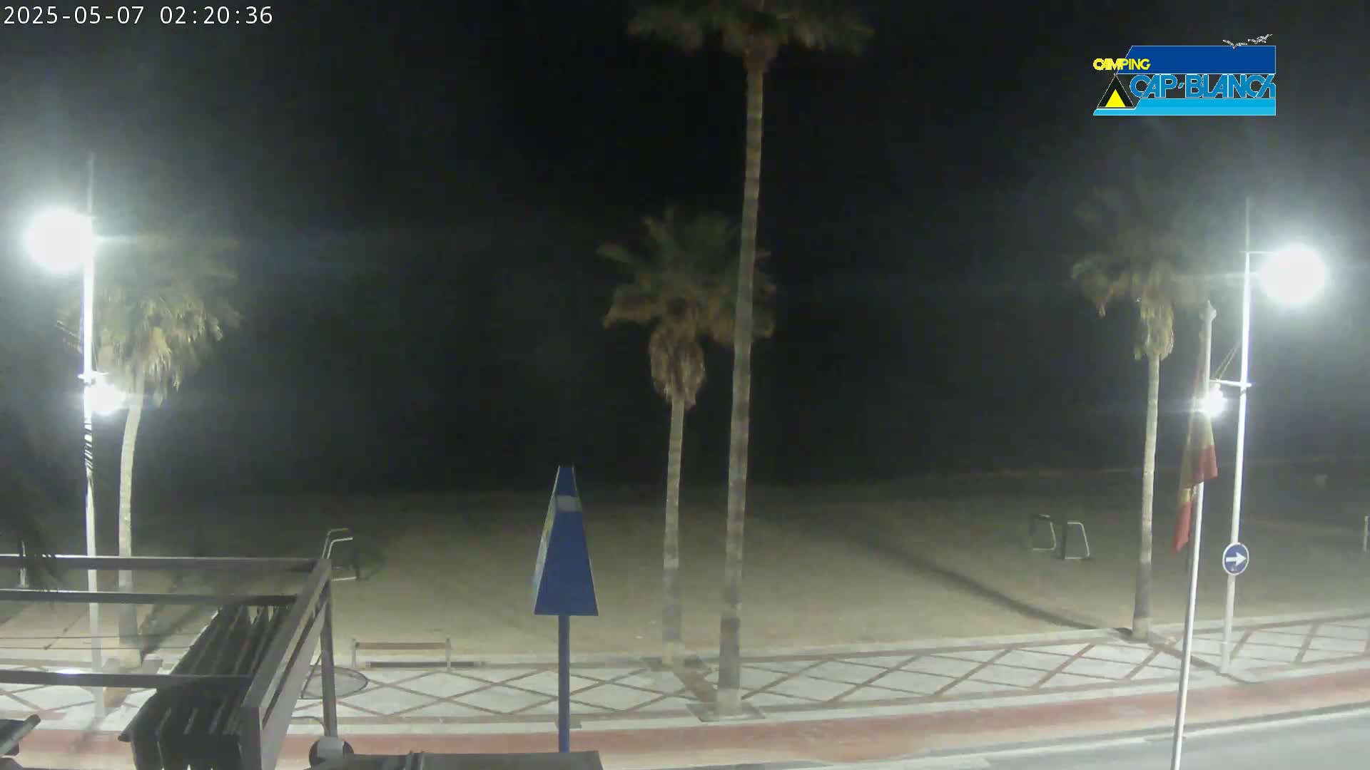 A nighttime view of a beach at night, showing palm trees, streetlights, and a paved walkway.