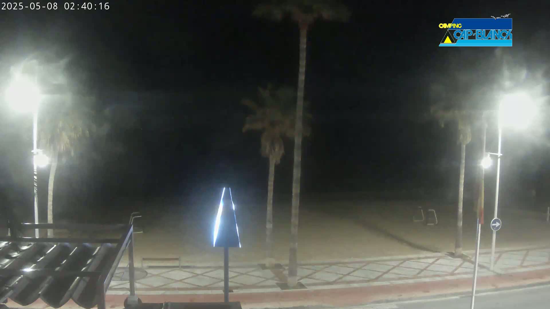 A nighttime view of a sandy beach, palm trees, and streetlights, with hazy or misty weather conditions.