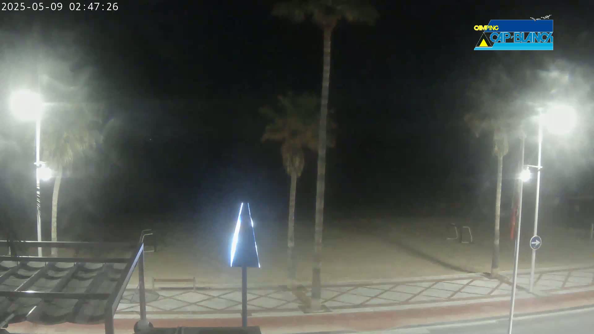 A nighttime view of a sandy beach area with palm trees, streetlights, and a tiled walkway under hazy conditions.