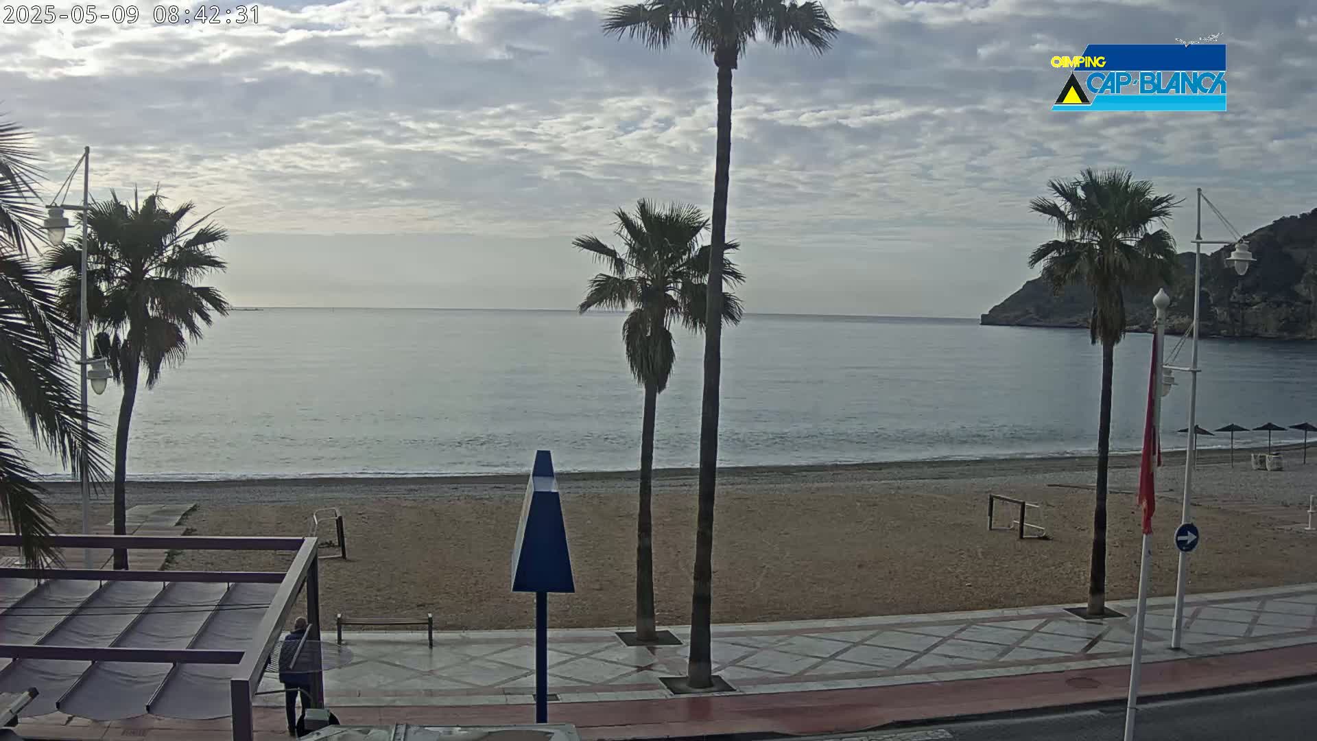 A sandy beach with palm trees and a calm sea under a mostly cloudy sky is viewed from a promenade.