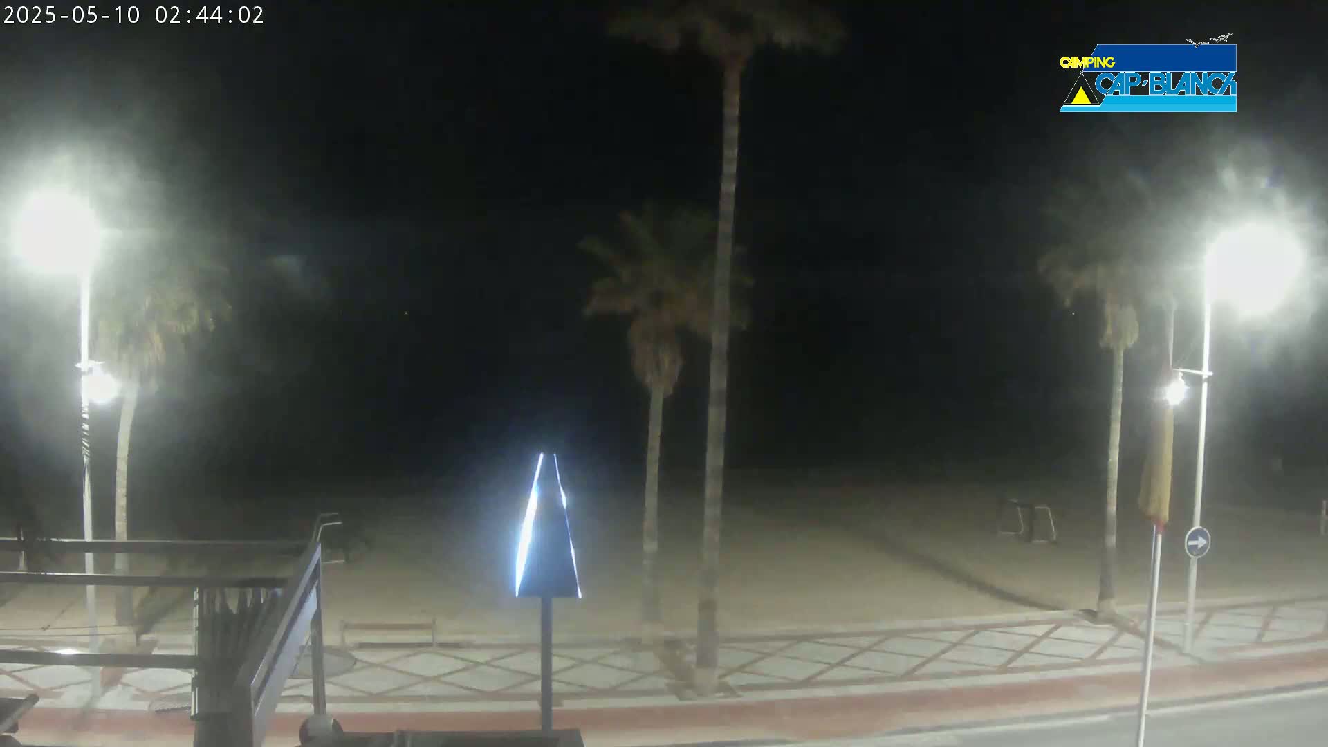 A nighttime view of a beach with palm trees and streetlights, under hazy conditions.