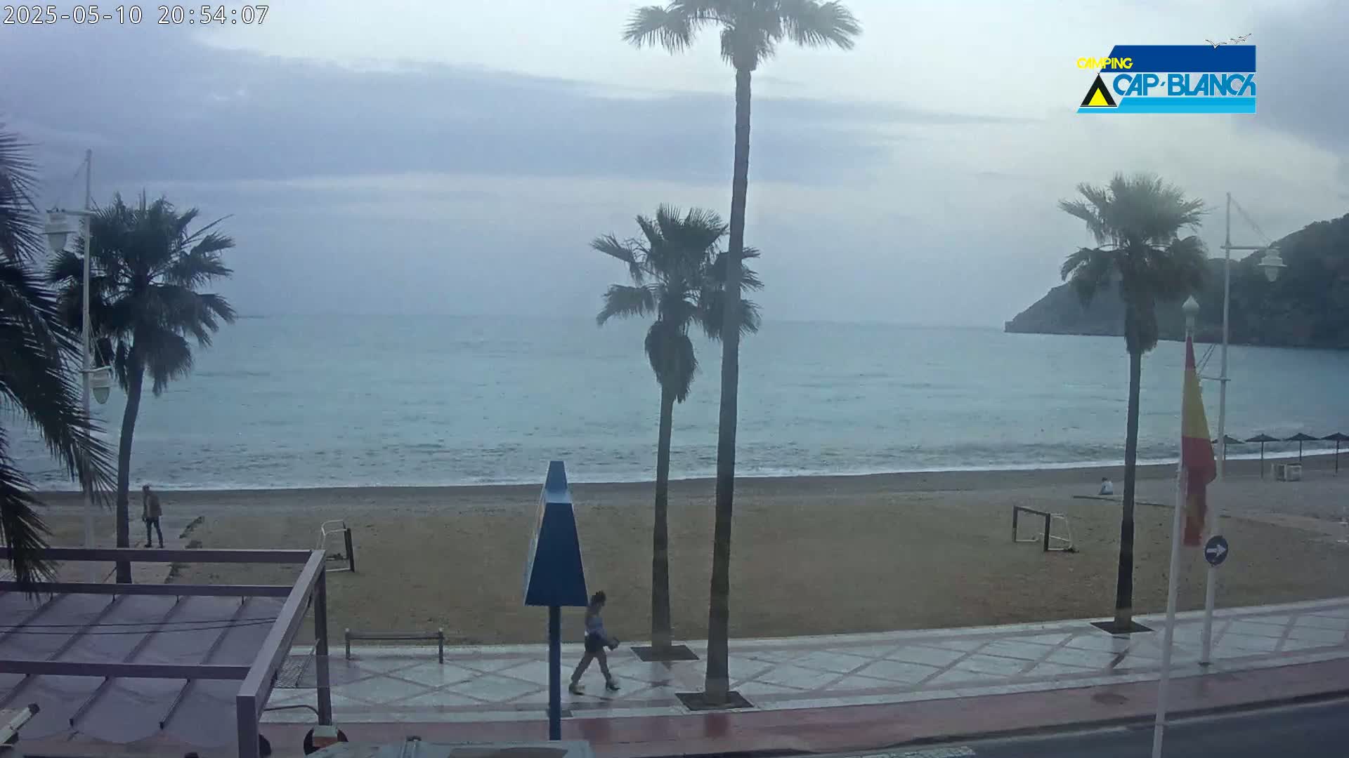 A sandy beach with palm trees and a calm ocean under an overcast sky is viewed from a slightly elevated position.