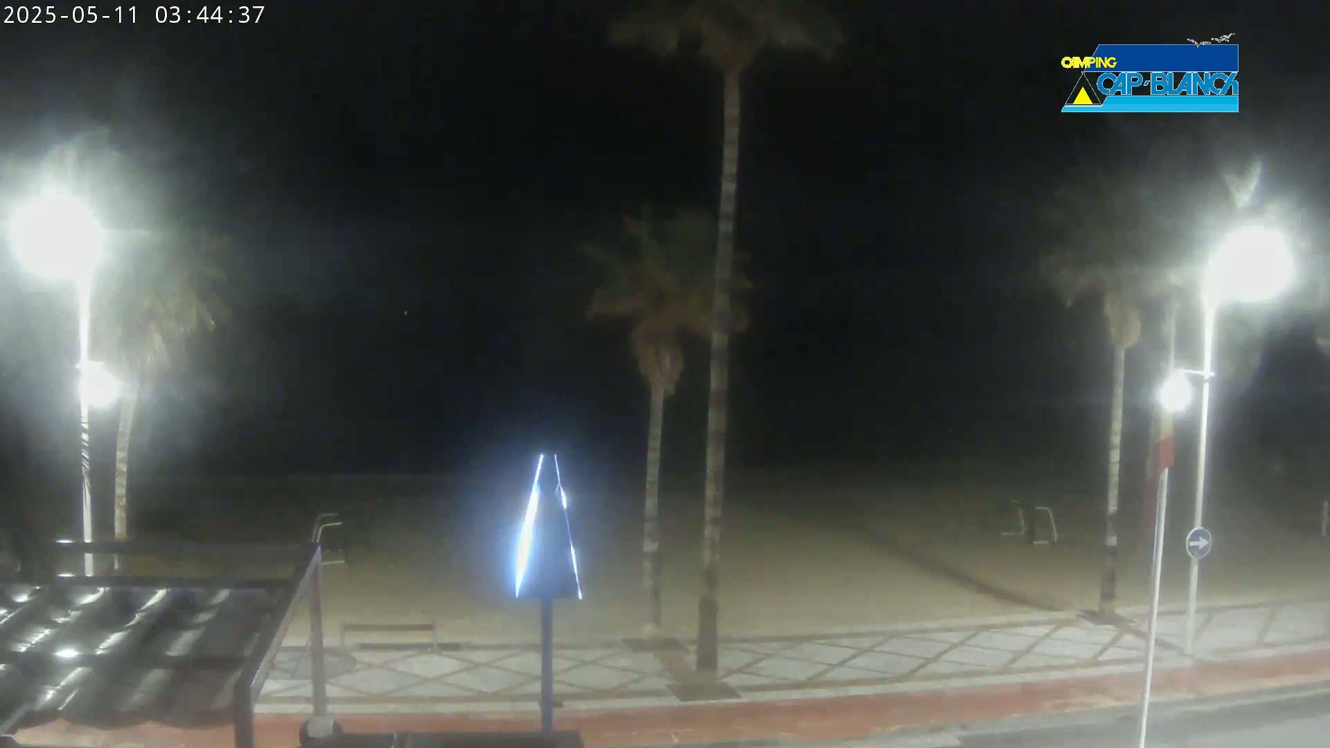 A nighttime view of a sandy beach area with palm trees, streetlights, and a paved walkway, under hazy conditions.