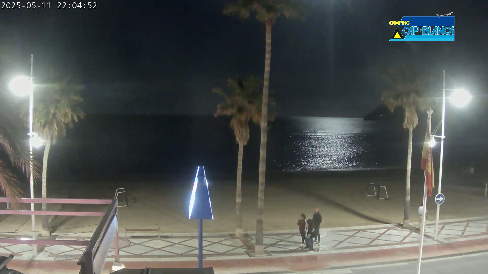 A nighttime view of a beach with palm trees, a few people, and calm, moonlit water.