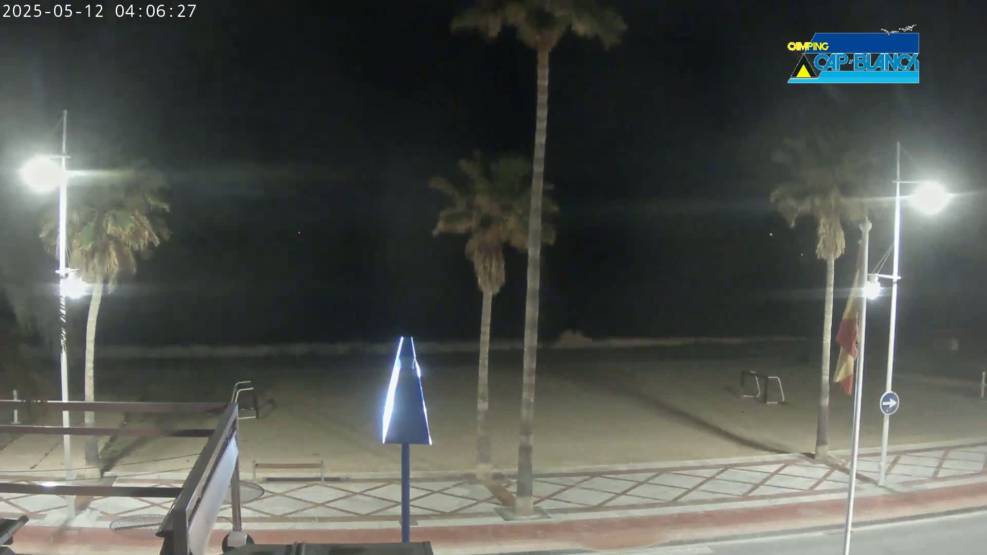 A nighttime view of a sandy beach bordered by palm trees, streetlights, and a paved walkway under a dark, clear sky.