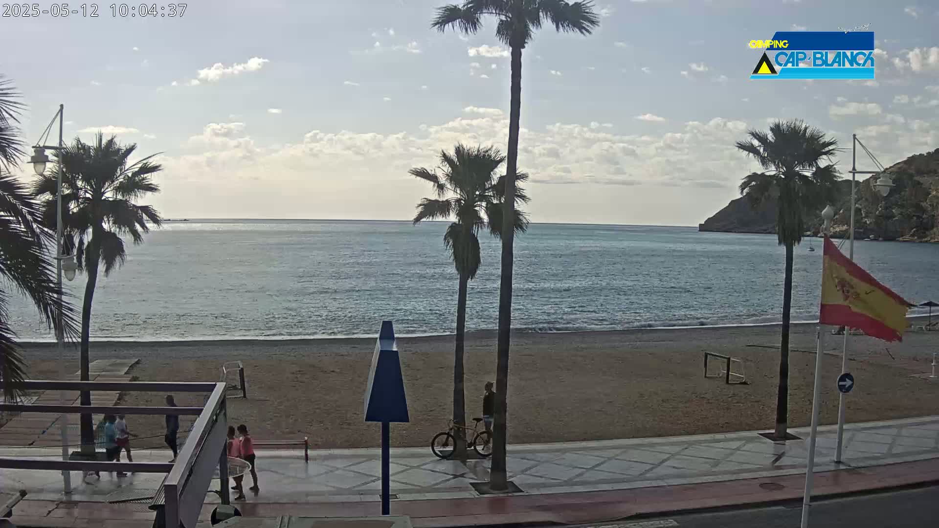 A sandy beach with calm ocean water is viewed from a boardwalk lined with palm trees under a partly cloudy sky.