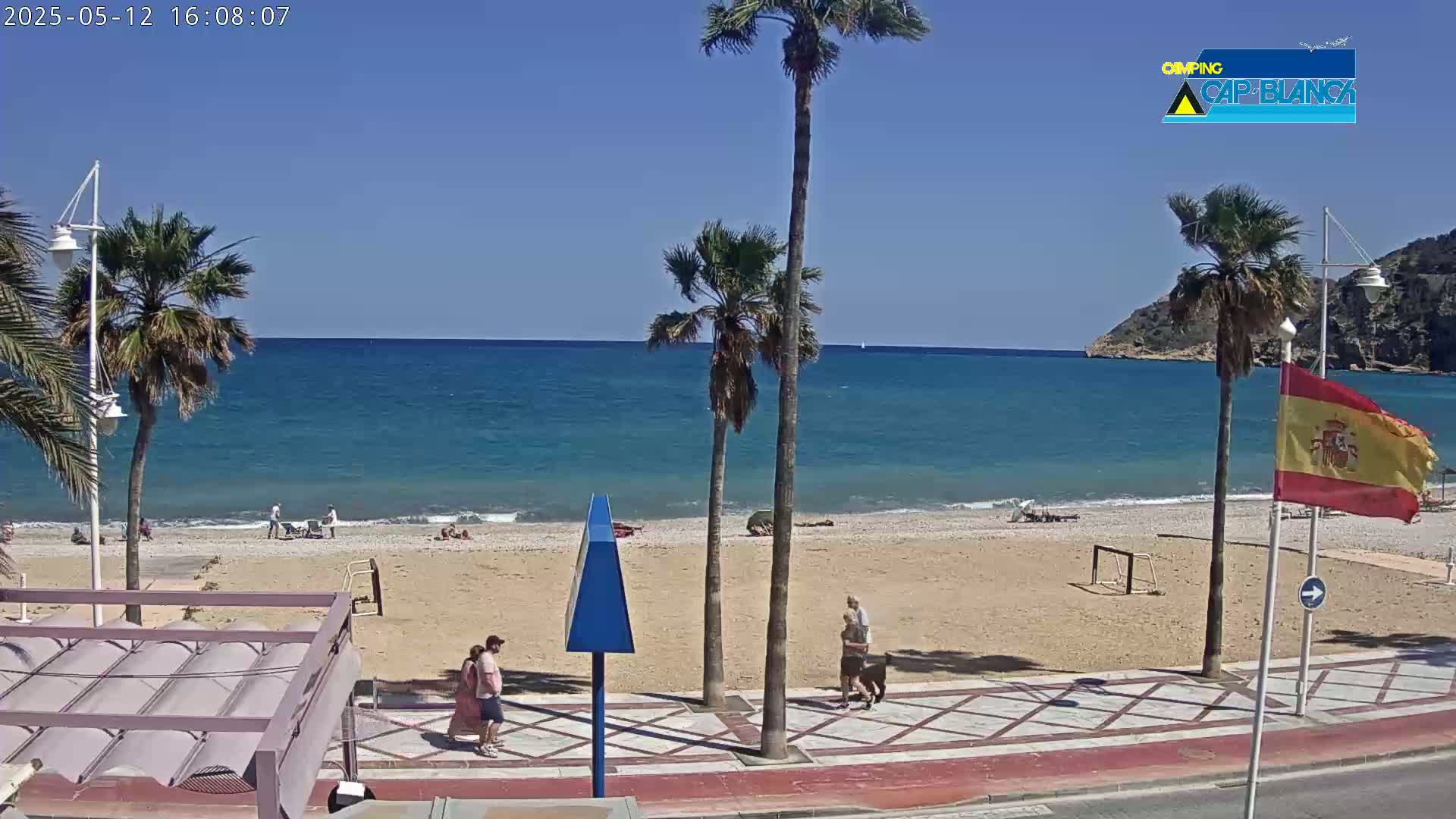 A sandy beach with palm trees and a few people is seen next to a calm, blue ocean on a sunny day.