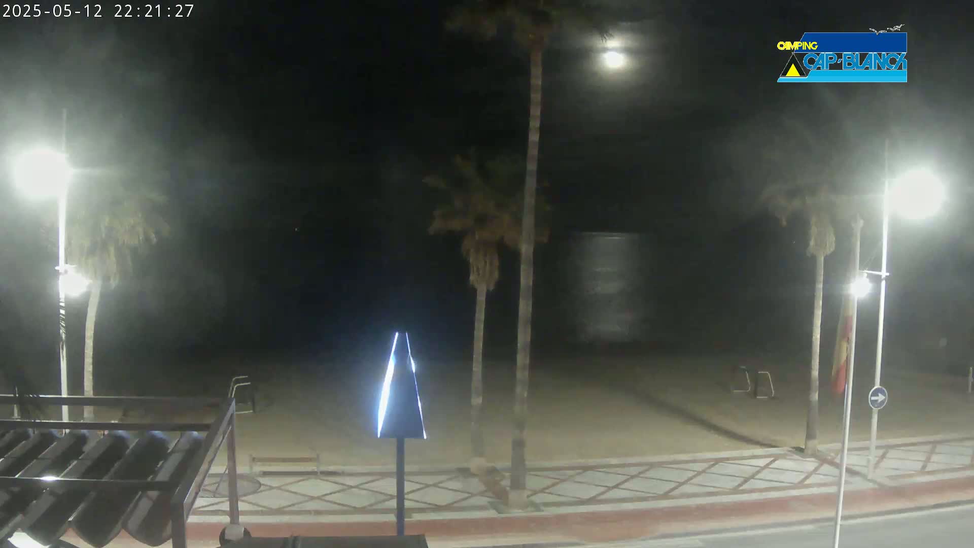A nighttime view of a sandy beach area with palm trees and streetlights under a hazy, moonlit sky.