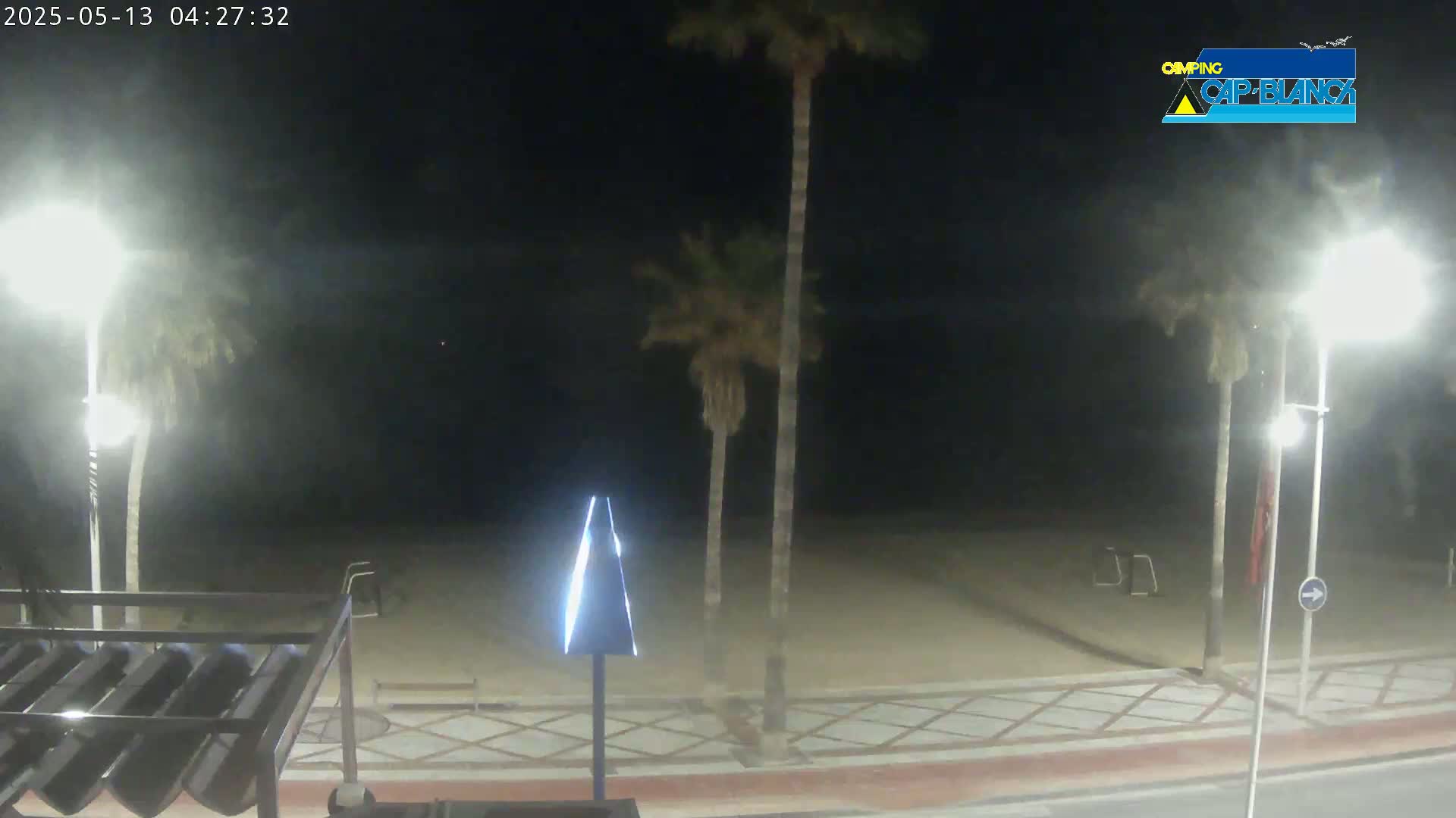 A nighttime view of a mostly empty sandy beach area, with palm trees and streetlights, under hazy conditions.
