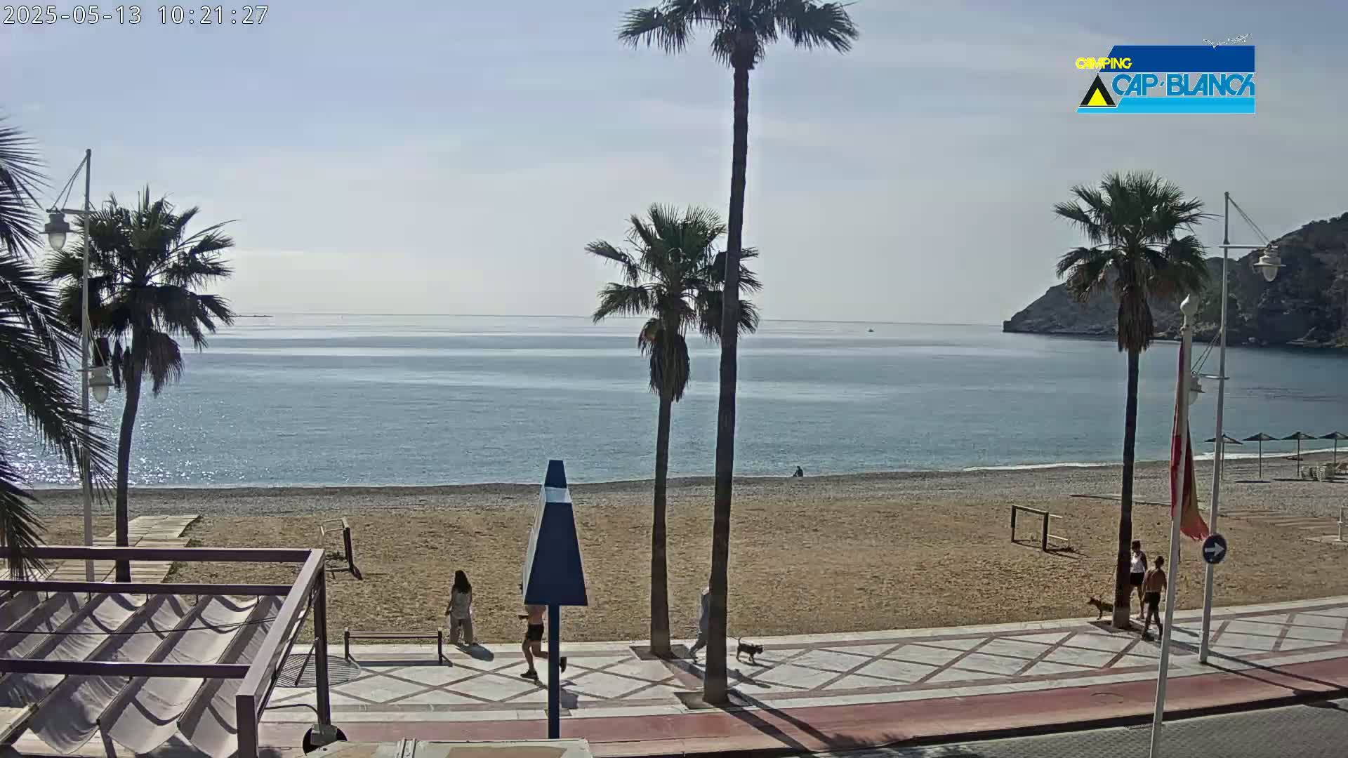 A sandy beach with palm trees and a calm sea under a clear sky is seen from a promenade.