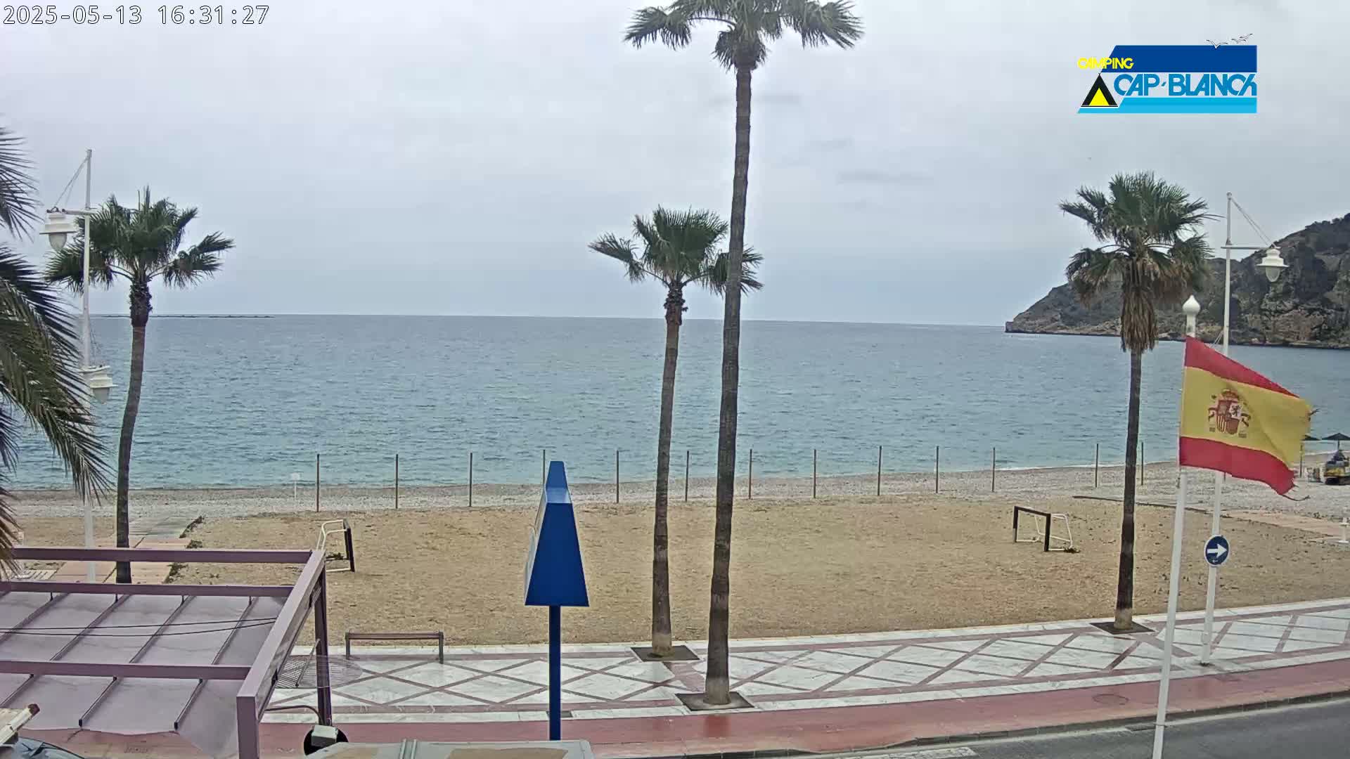 A sandy beach with palm trees and a calm, light-blue sea under an overcast sky.