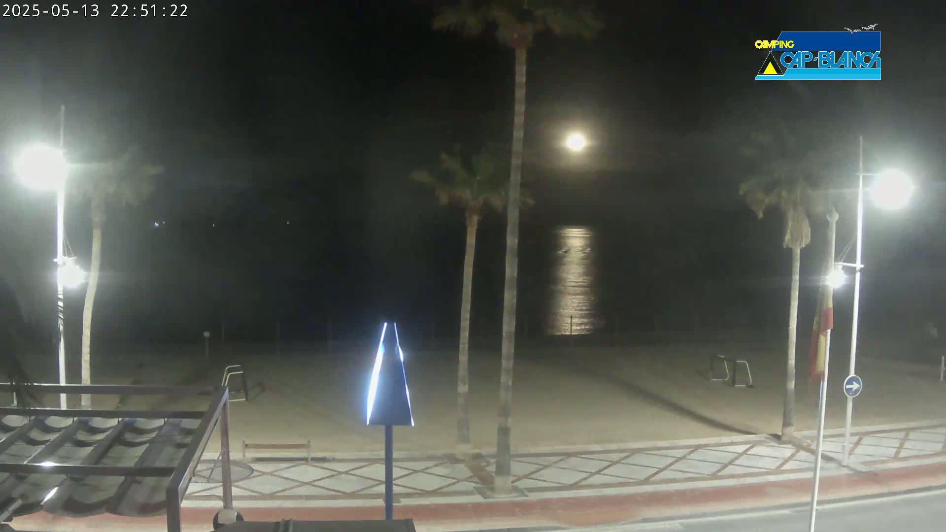 A moonlit night scene shows a sandy beach with palm trees, streetlights, and a tiled walkway next to a calm ocean.