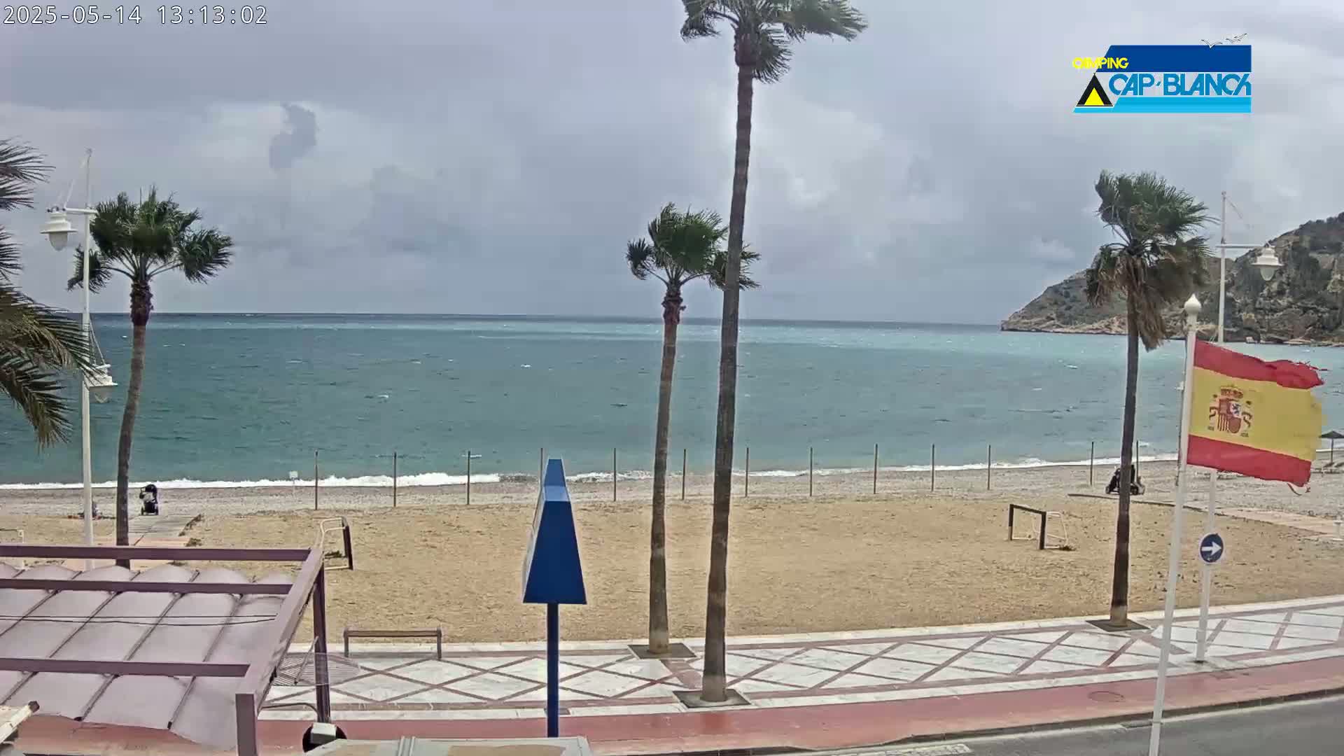 A windy, overcast day at a beach with palm trees, a sandy shore, and a calm sea under a gray sky.