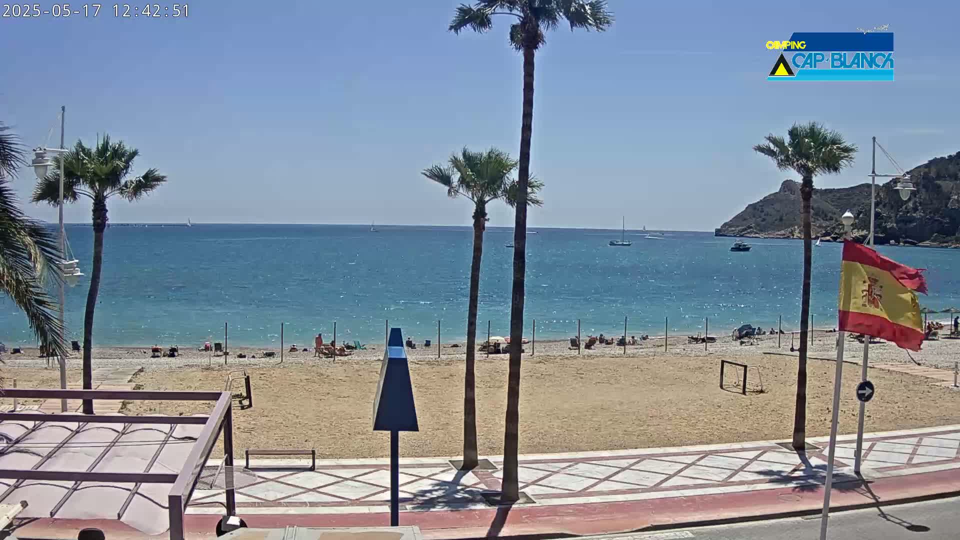 A sandy beach with scattered people and palm trees borders a calm, blue ocean under a clear sky.