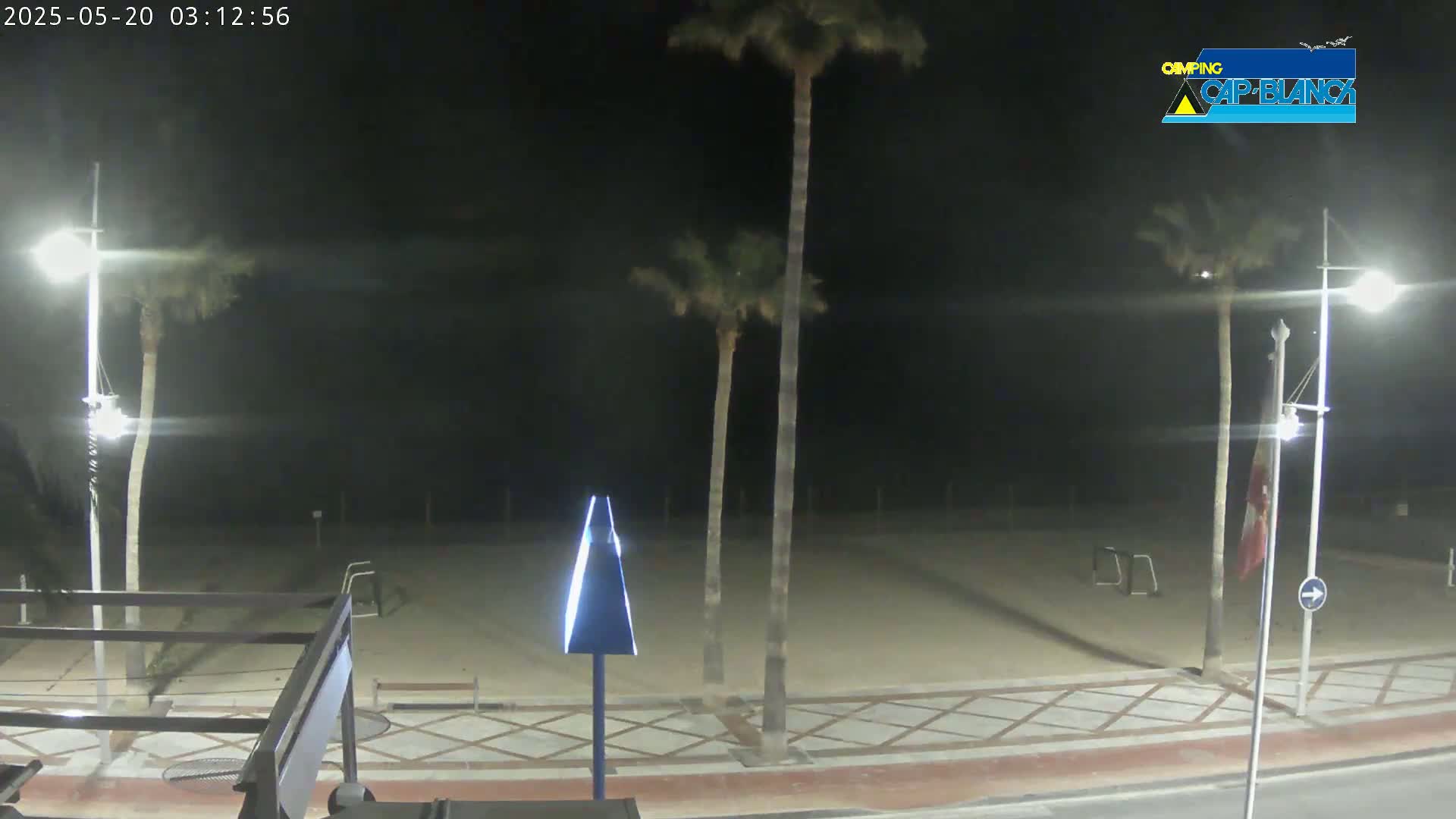 A nighttime view of a sandy area with palm trees and streetlights, under a clear, dark sky.