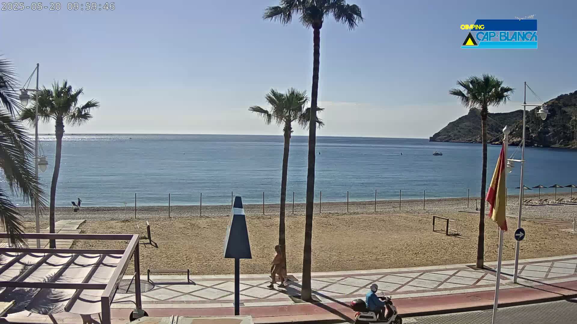 A sandy beach with palm trees and a calm ocean under a clear blue sky is seen from a seaside promenade where a few people are walking or driving a scooter.