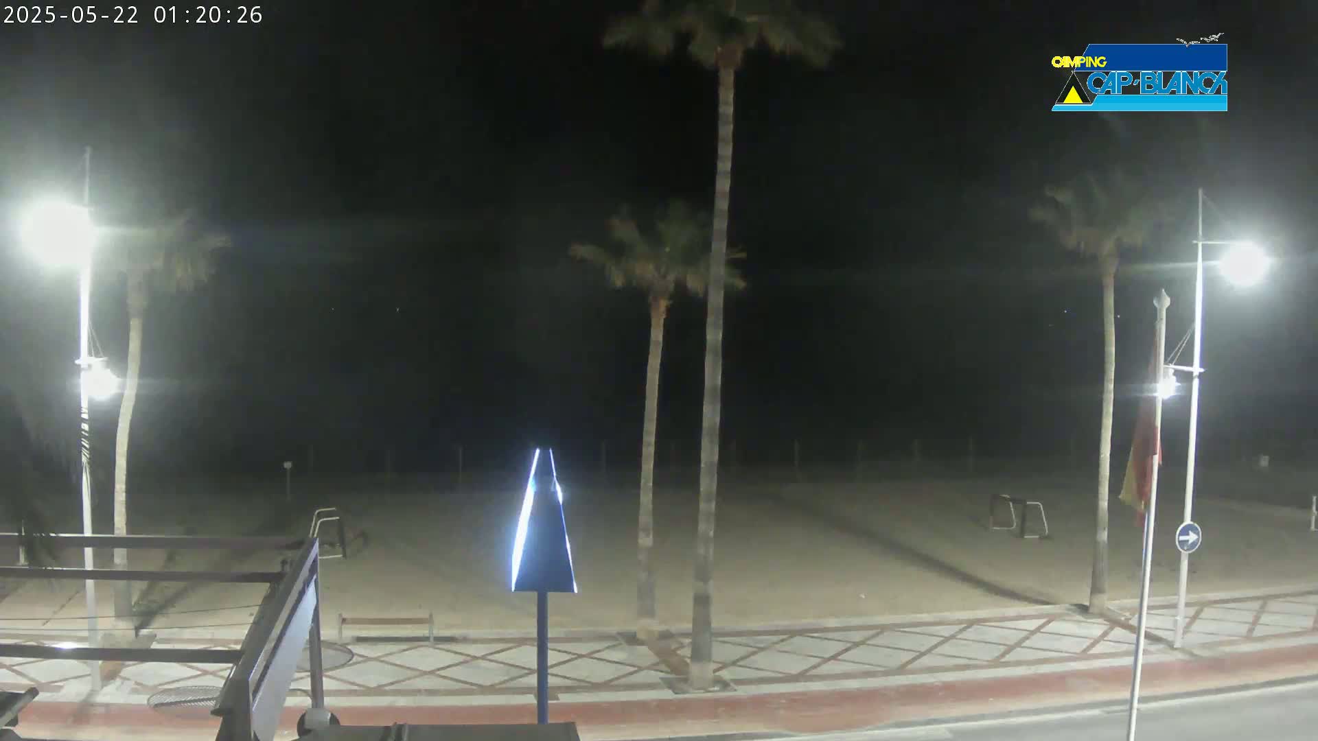 A nighttime view of a sandy beach with palm trees, streetlights, and a paved walkway.