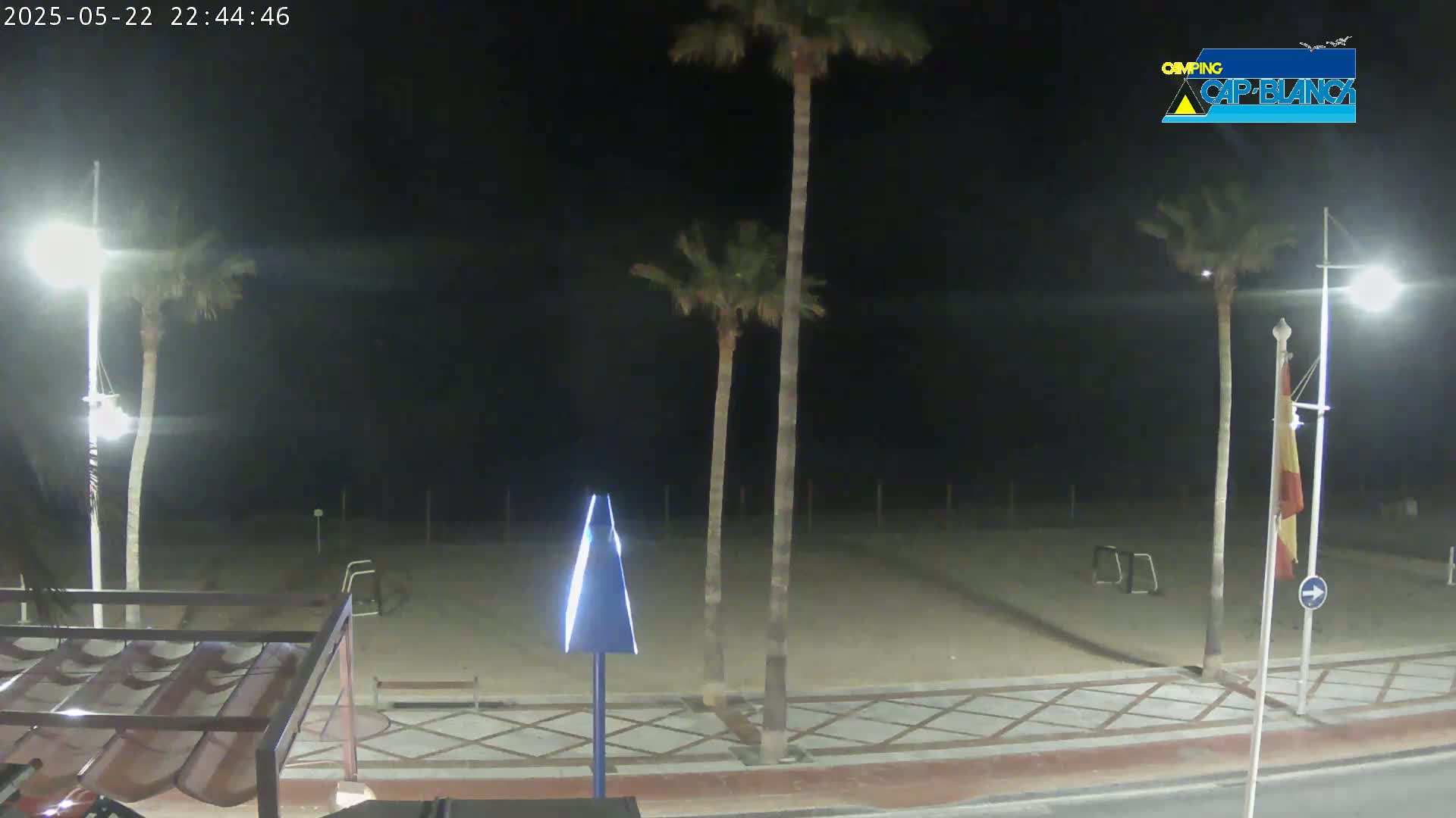 A nighttime view of a sandy beach with palm trees and streetlights, illuminated by artificial lighting.