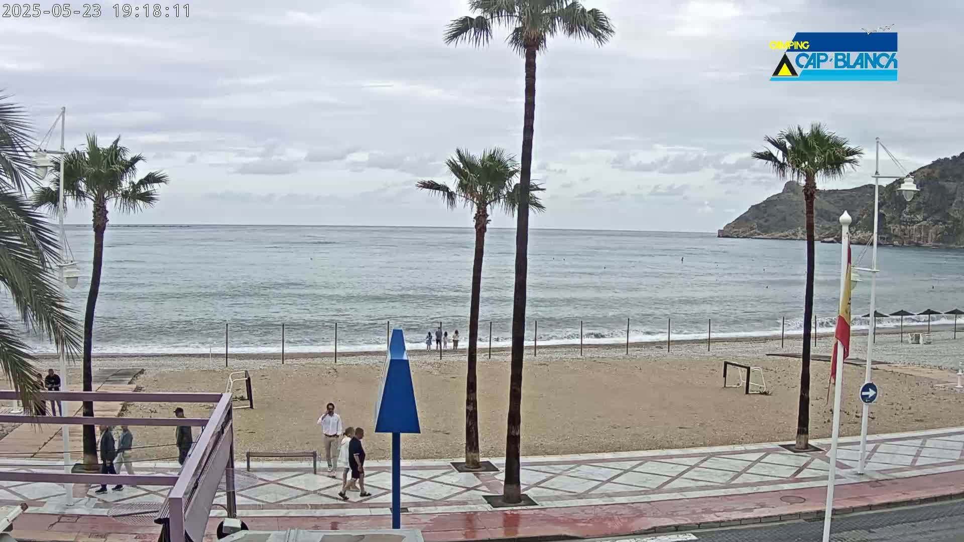 A sandy beach with palm trees and a few people is visible, alongside a calm ocean under an overcast sky.