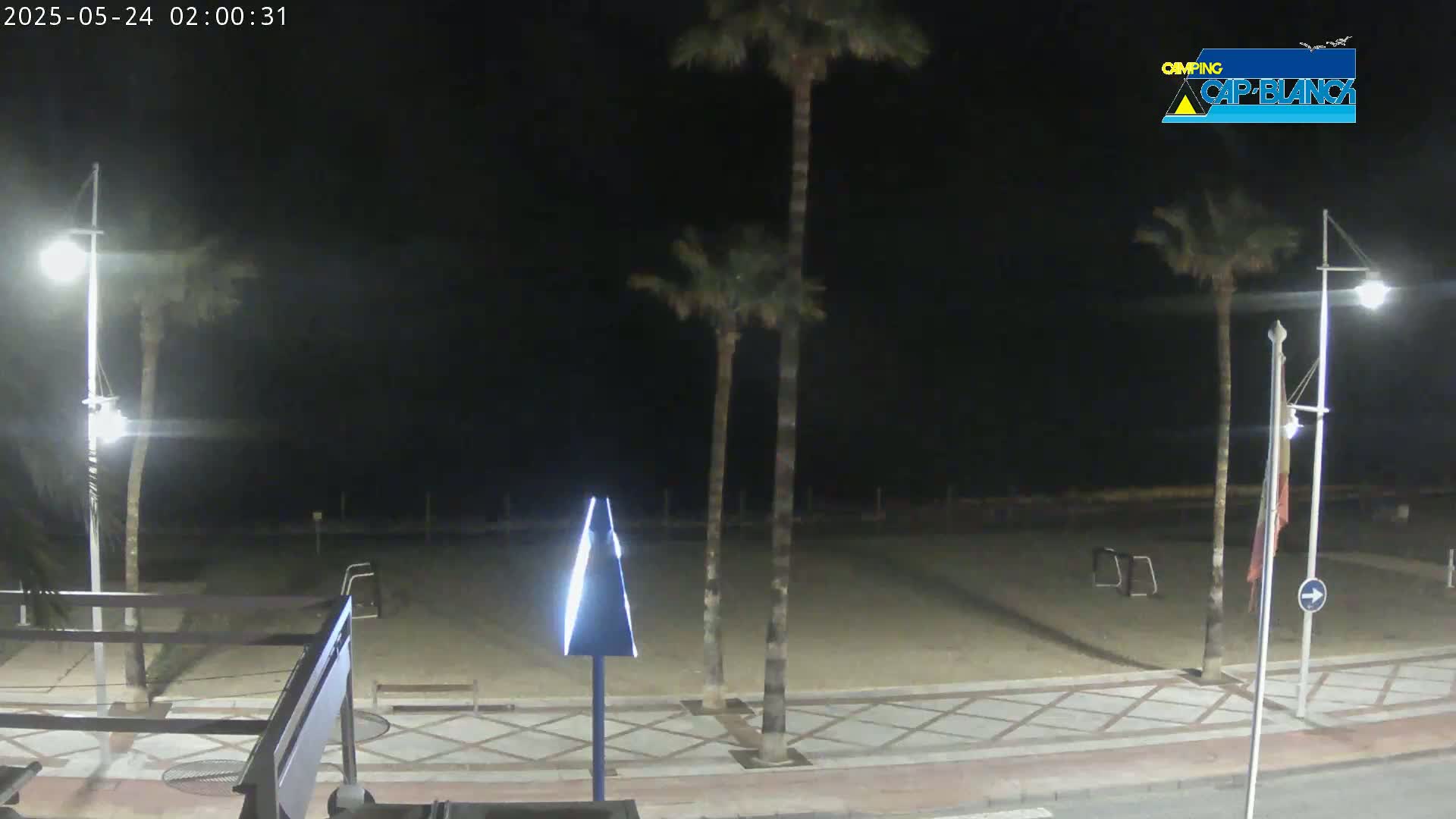 A nighttime view of a sandy beach area with palm trees, streetlights, and a paved walkway.