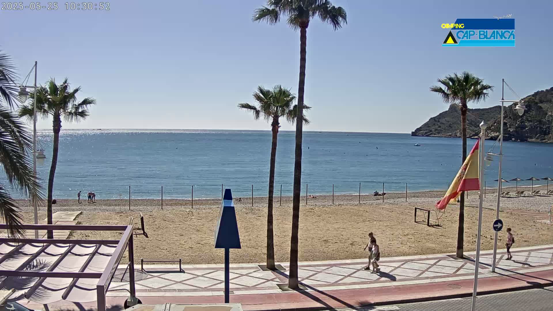 A sandy beach with palm trees and a few people stretches along a calm blue sea under a clear sunny sky.