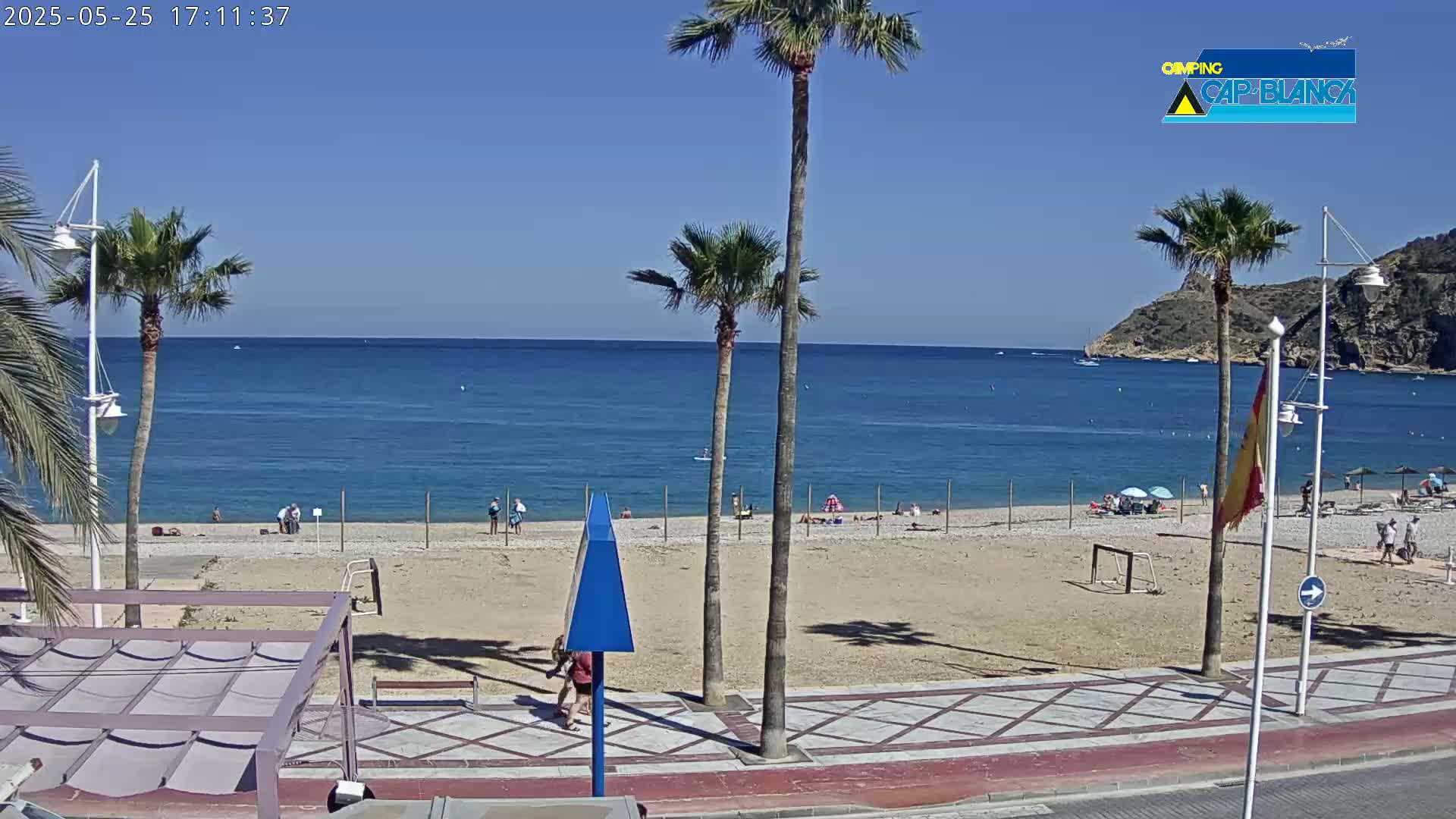A sandy beach with palm trees and a calm, blue ocean under a clear, sunny sky.