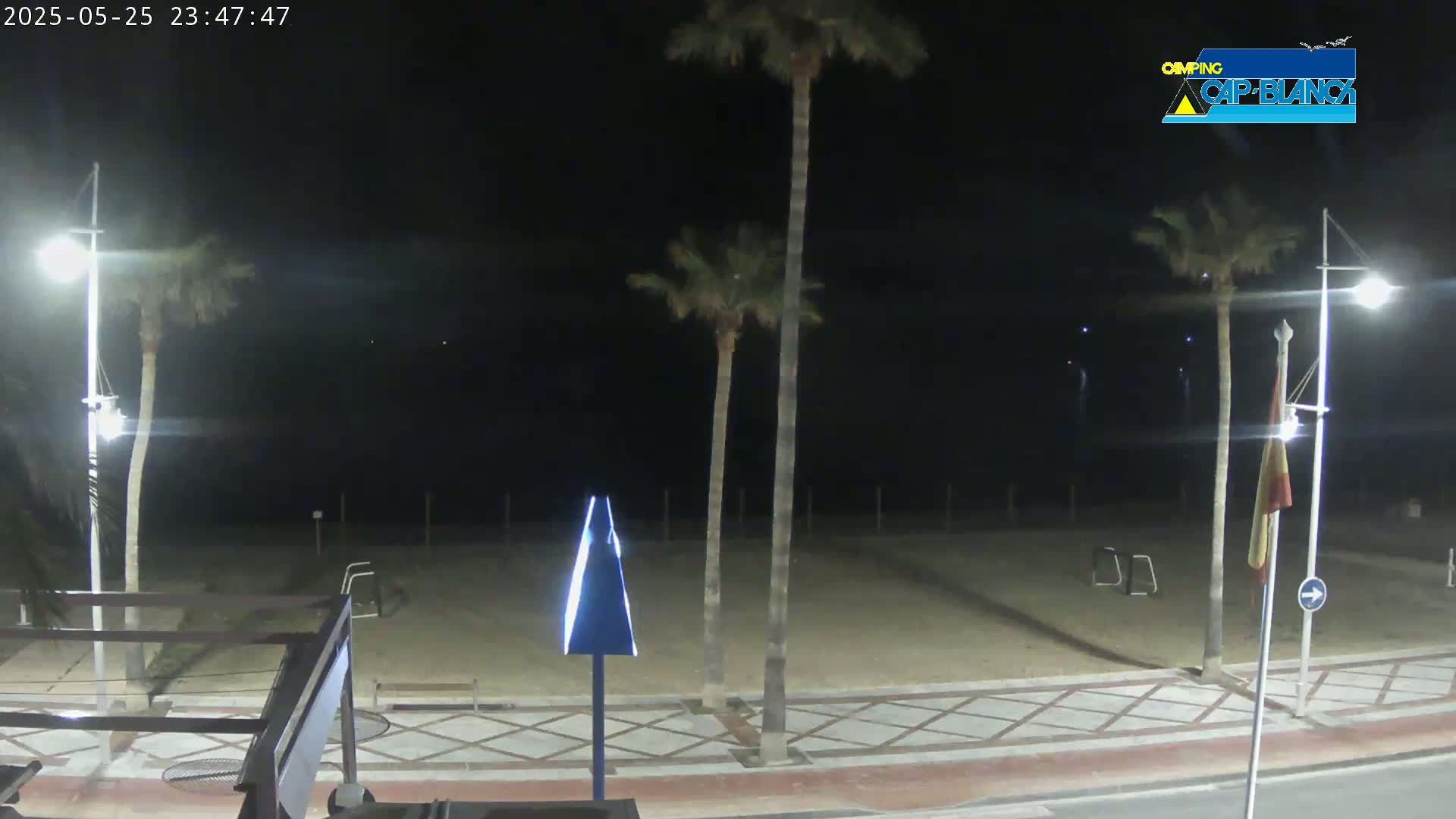 A nighttime view of a sandy beach, palm trees, and a paved walkway, illuminated by streetlights.