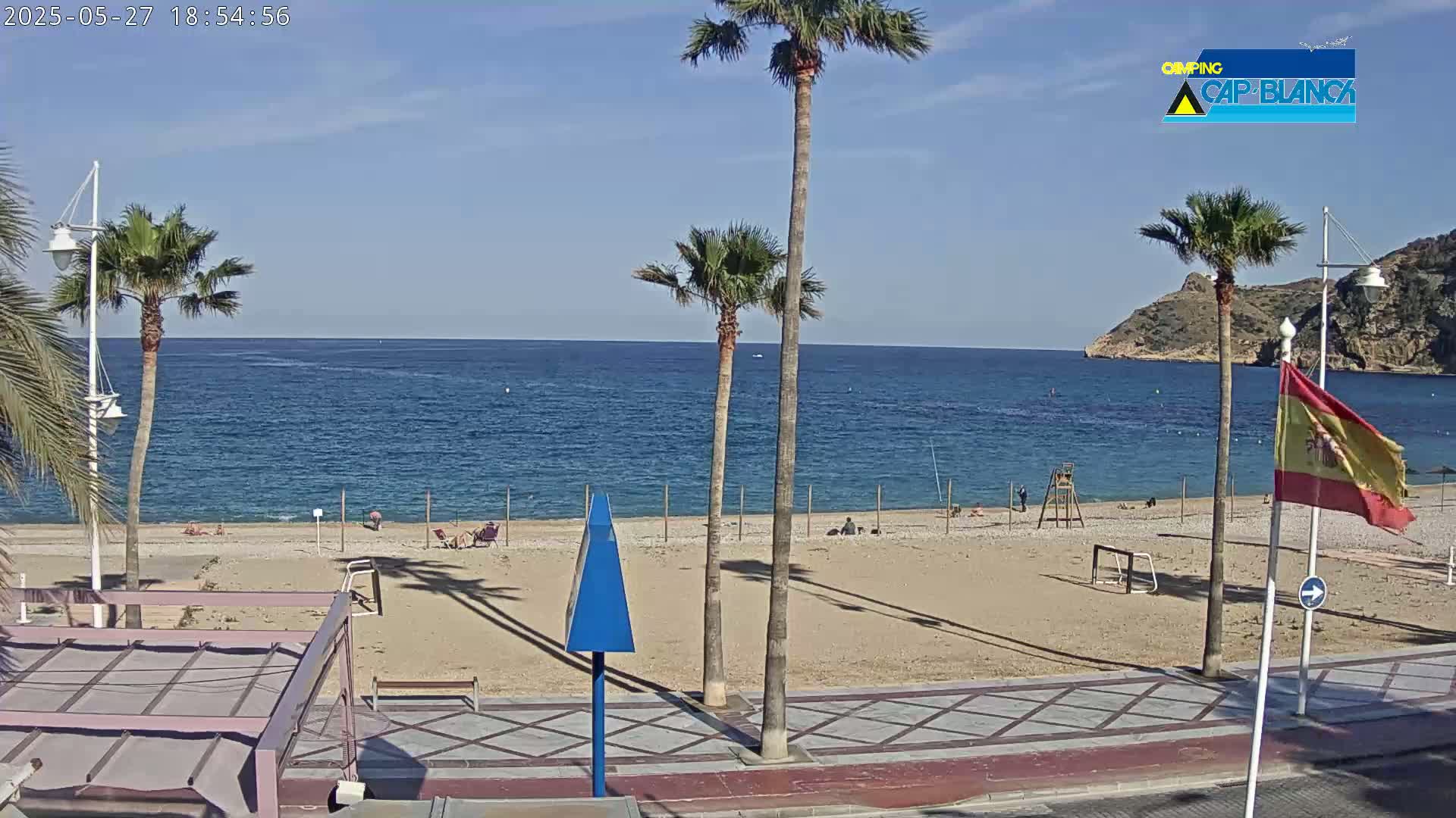 A sandy beach with palm trees, a calm blue sea, and a Spanish flag under a clear sky.