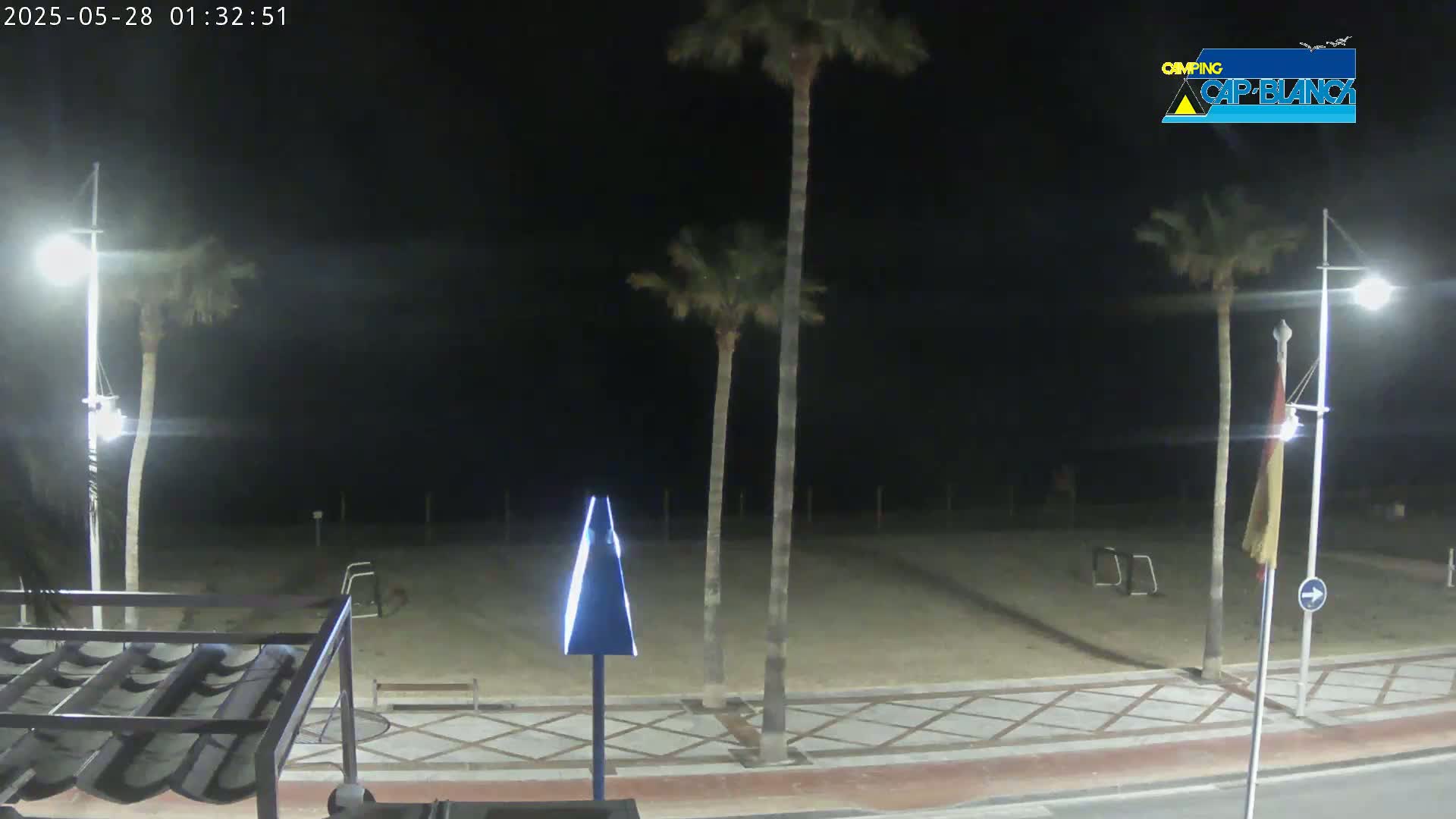A nighttime view of a mostly empty beach with palm trees, streetlights, and a paved walkway.