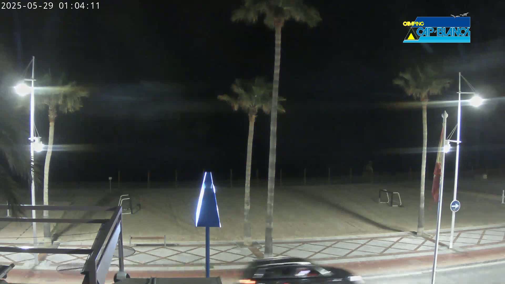 A nighttime view of a sandy beach area with palm trees, streetlights, and a dark-colored vehicle driving by.