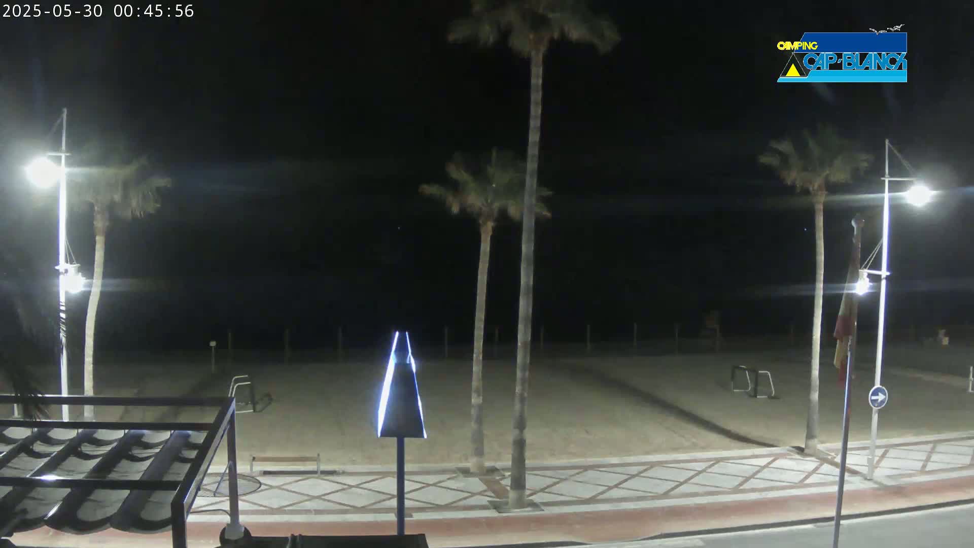 A nighttime view of a sandy beach bordered by a paved walkway lined with palm trees and streetlights.
