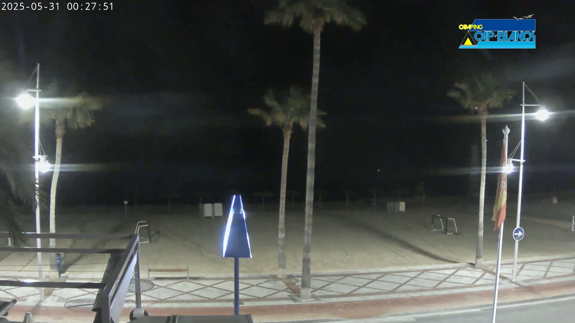 A nighttime view of an empty beach with palm trees and streetlights, under a clear, dark sky.