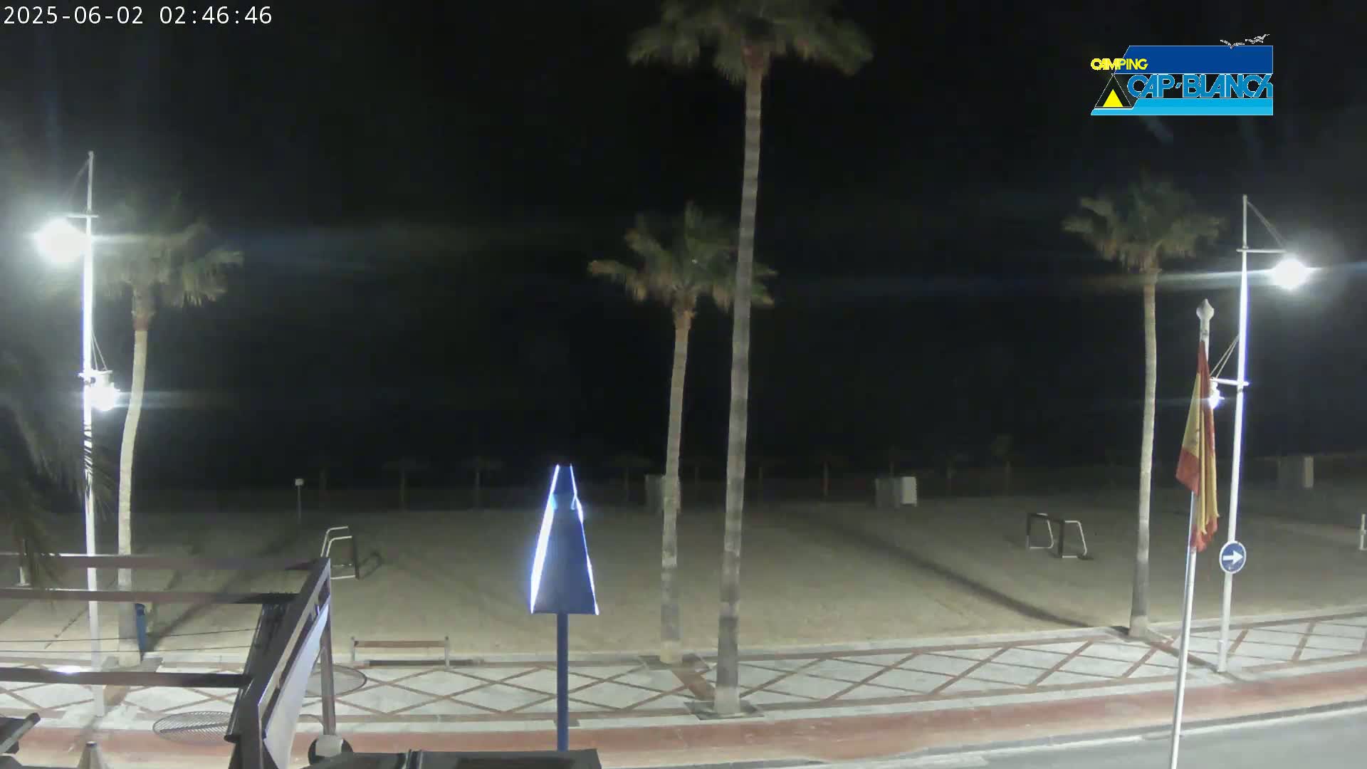 At night, a mostly empty sandy beach is bordered by a paved walkway lined with palm trees and streetlights.