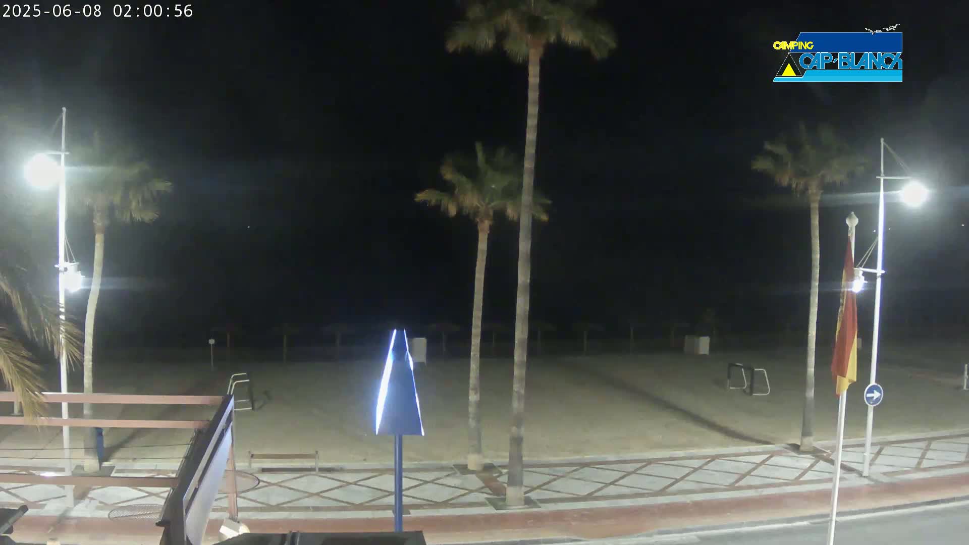 A nighttime view of a sandy beach with palm trees, streetlights, and a paved walkway.